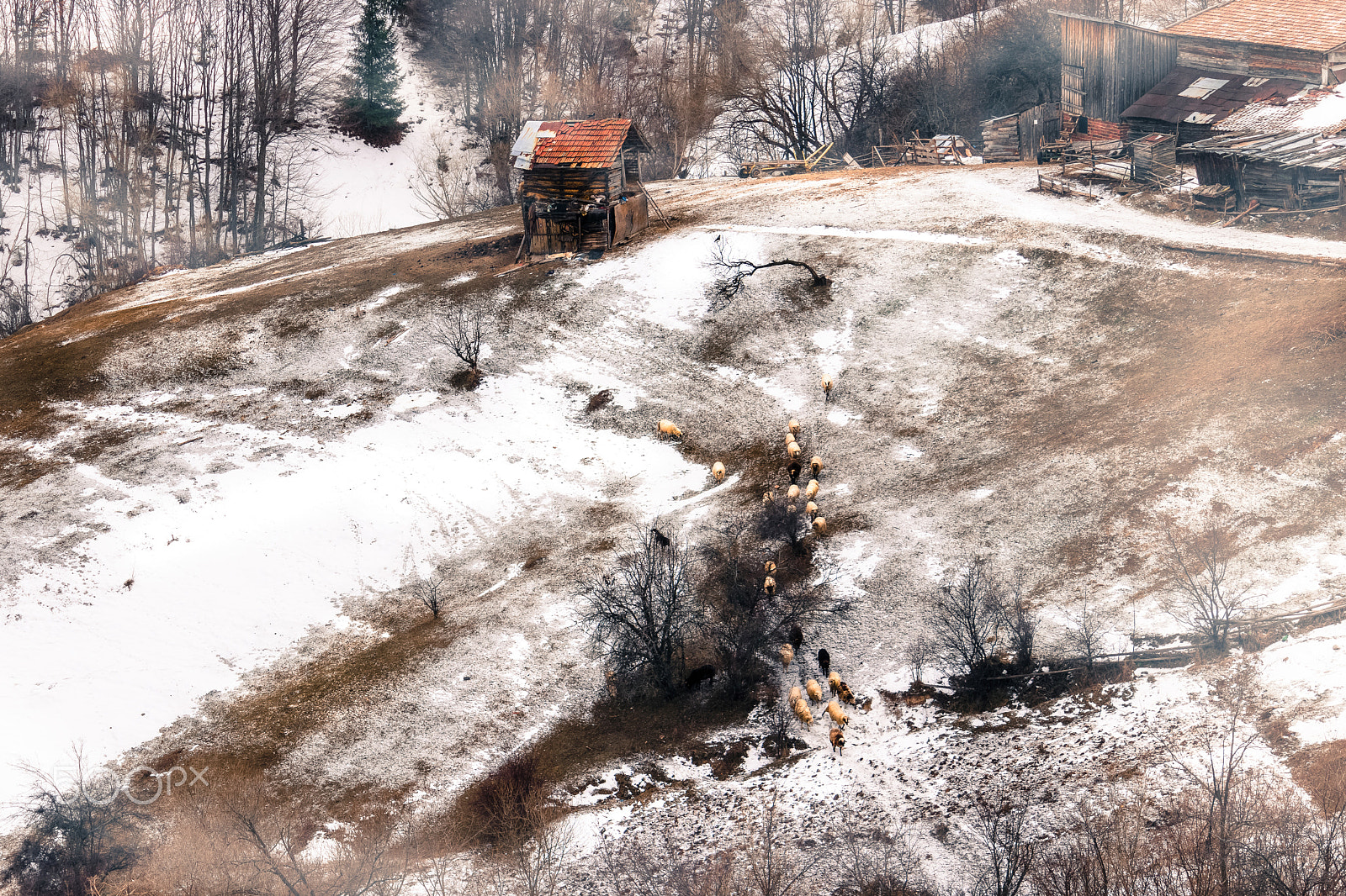 Canon EF-S 55-250mm F4-5.6 IS sample photo. Winter morning rodopes mountain photography