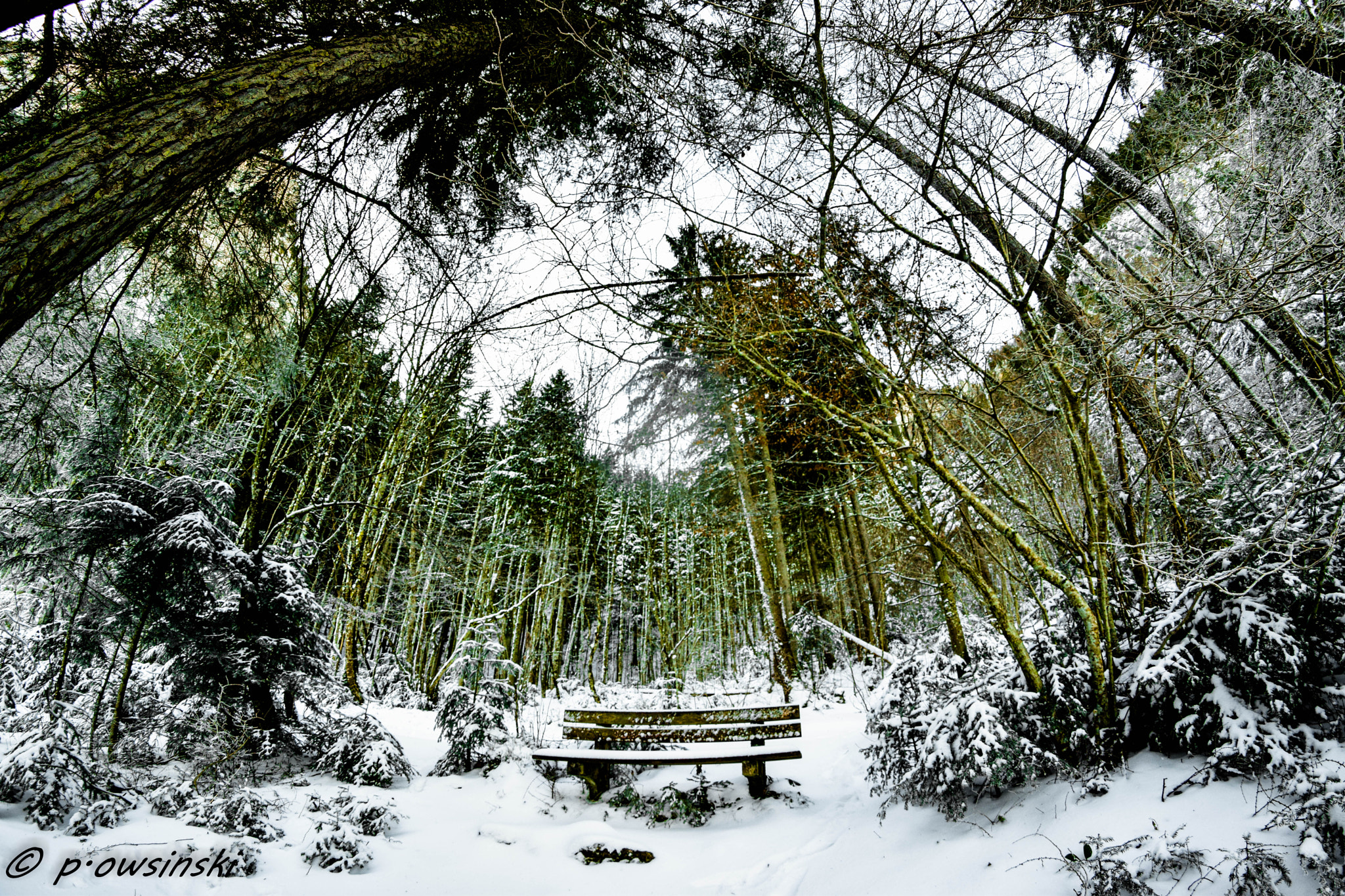 Nikon D5300 + Samyang 8mm F3.5 Aspherical IF MC Fisheye sample photo. Winter mood photography