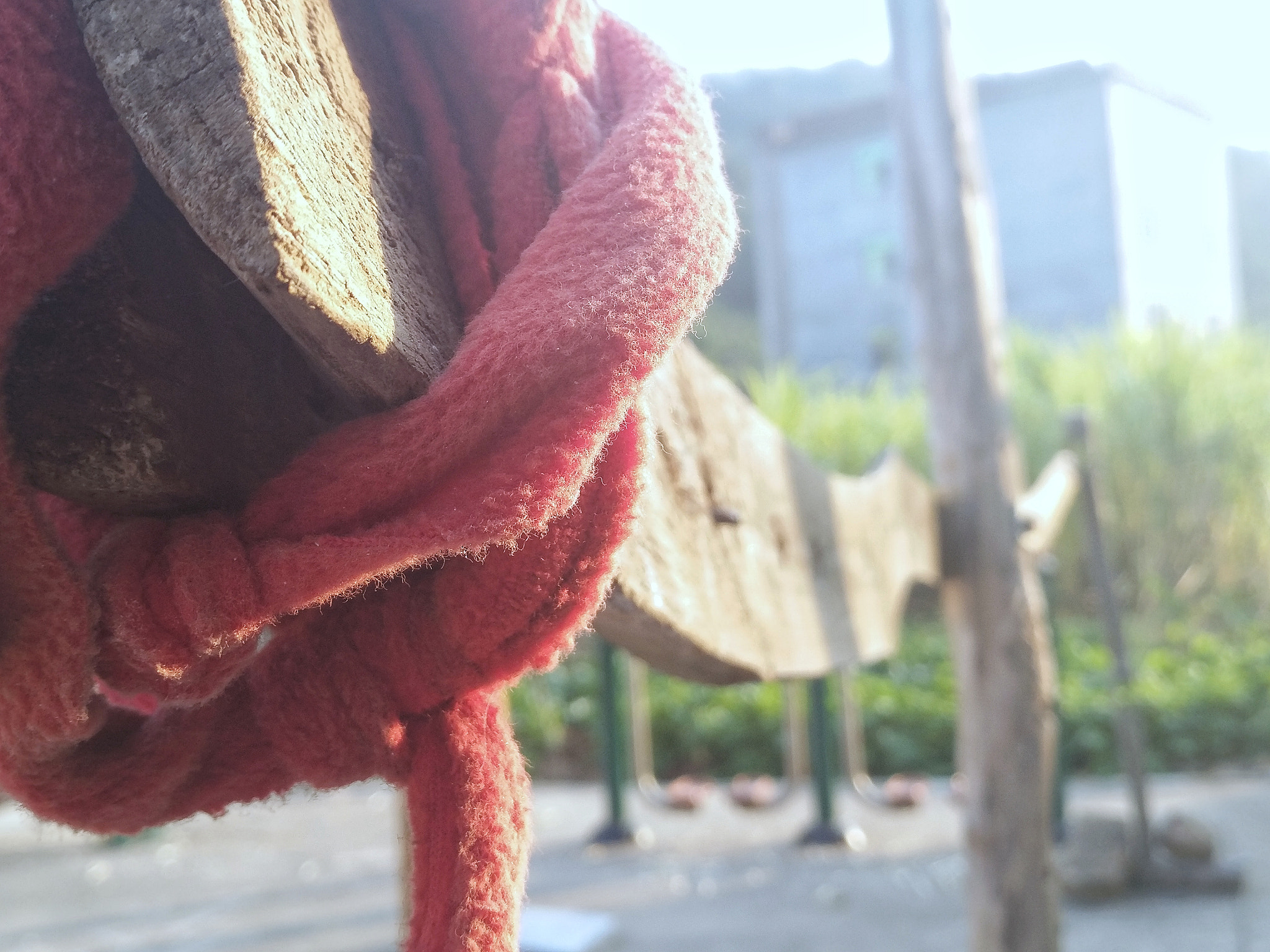 vivo X7PLUS sample photo