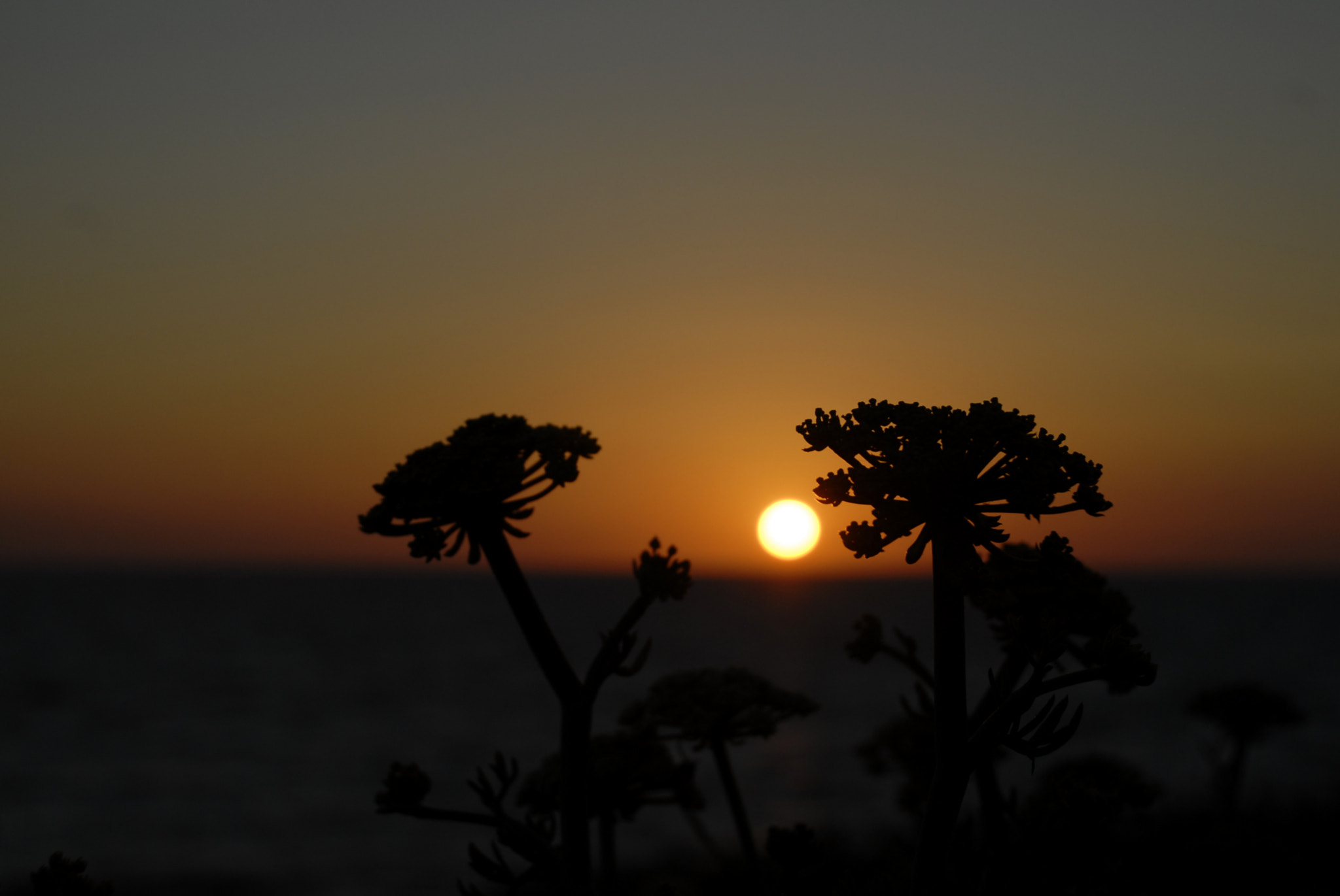 Nikon D200 sample photo. Sunset photography