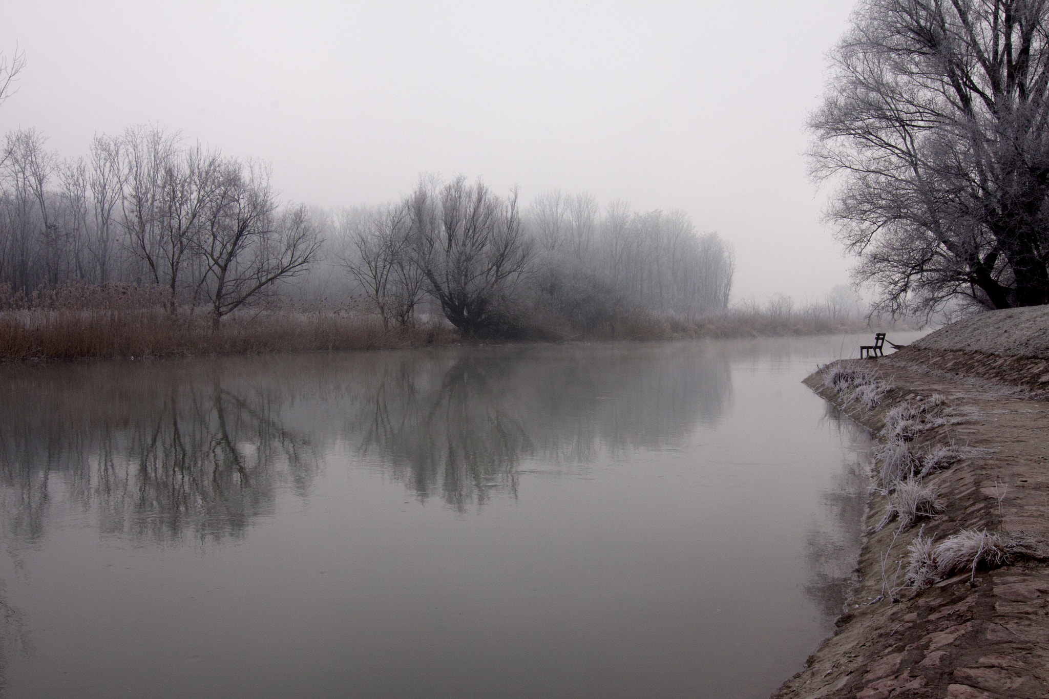 Tokina AT-X Pro 12-24mm F4 (IF) DX sample photo. Frosty morning i. photography