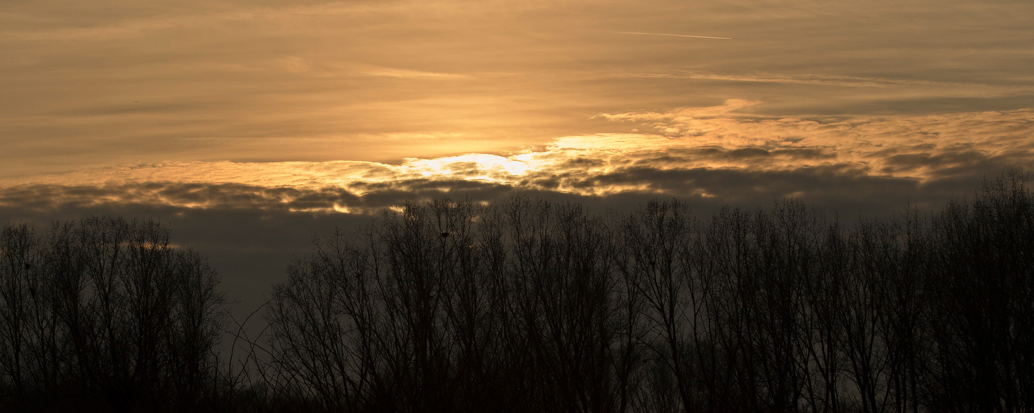 Canon EF 70-300mm F4-5.6 IS USM sample photo