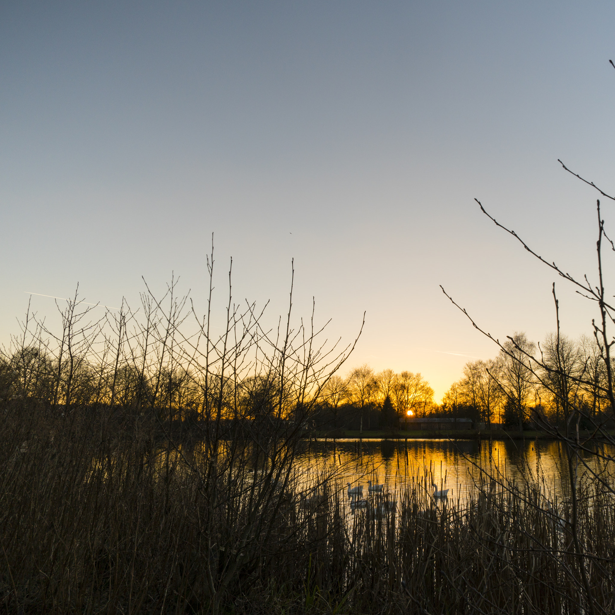 Sony a6300 sample photo. Sunset 2 of 2 aaltinksweg, holten, the netherlands photography