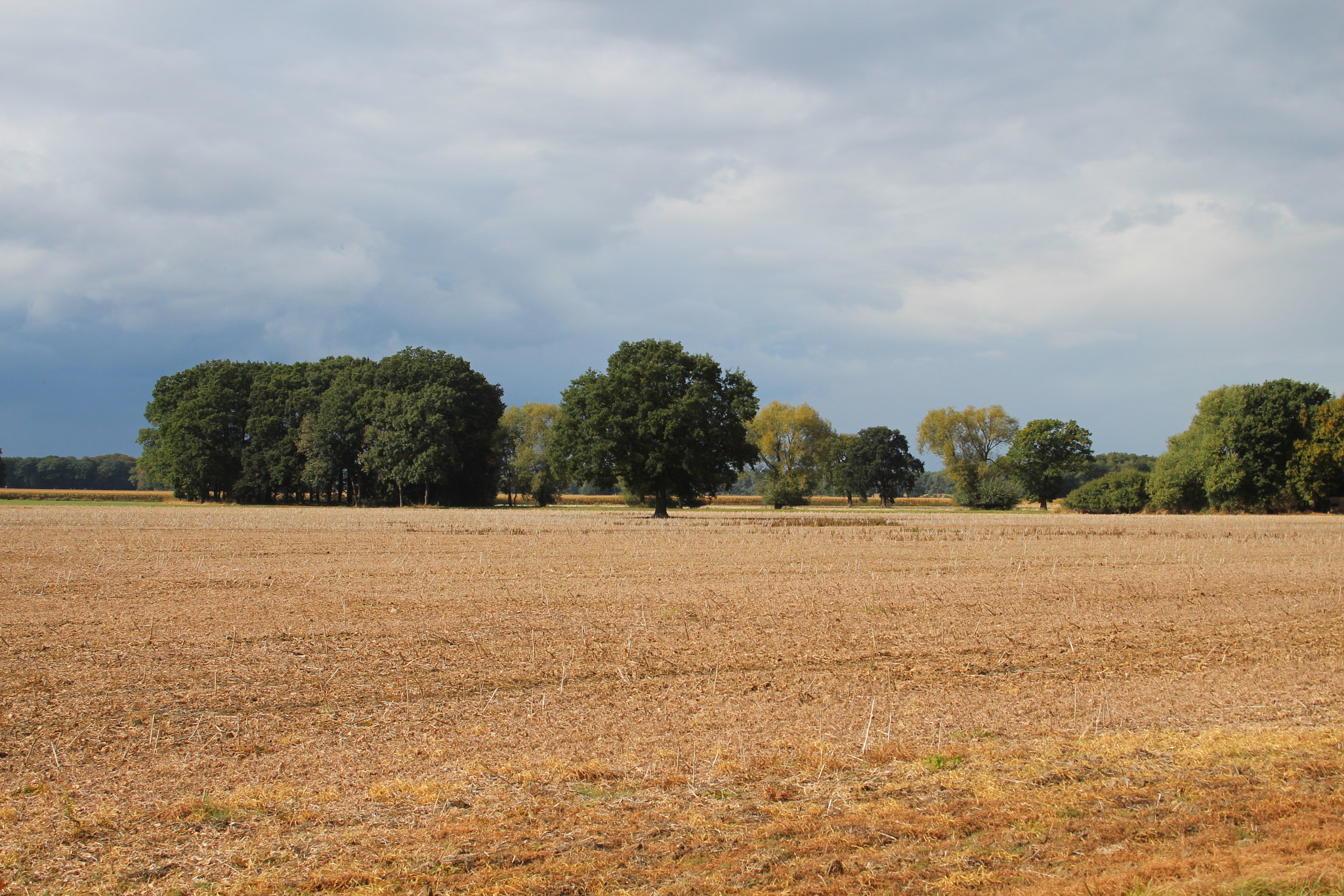 Canon EF-S 18-55mm F3.5-5.6 II sample photo. Round the weser, germany photography