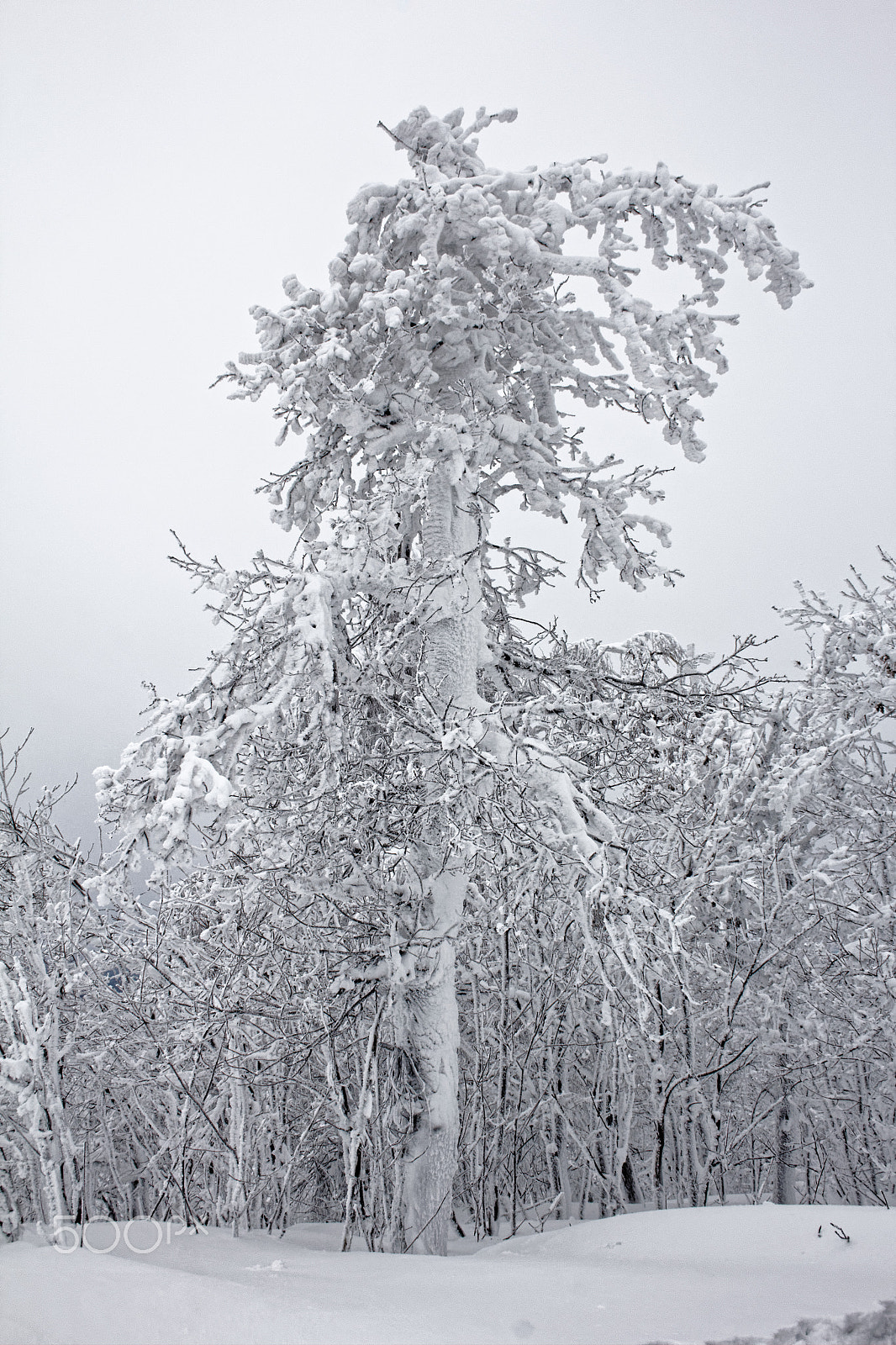 Canon EF-S 18-55mm F3.5-5.6 II sample photo. Urals photography