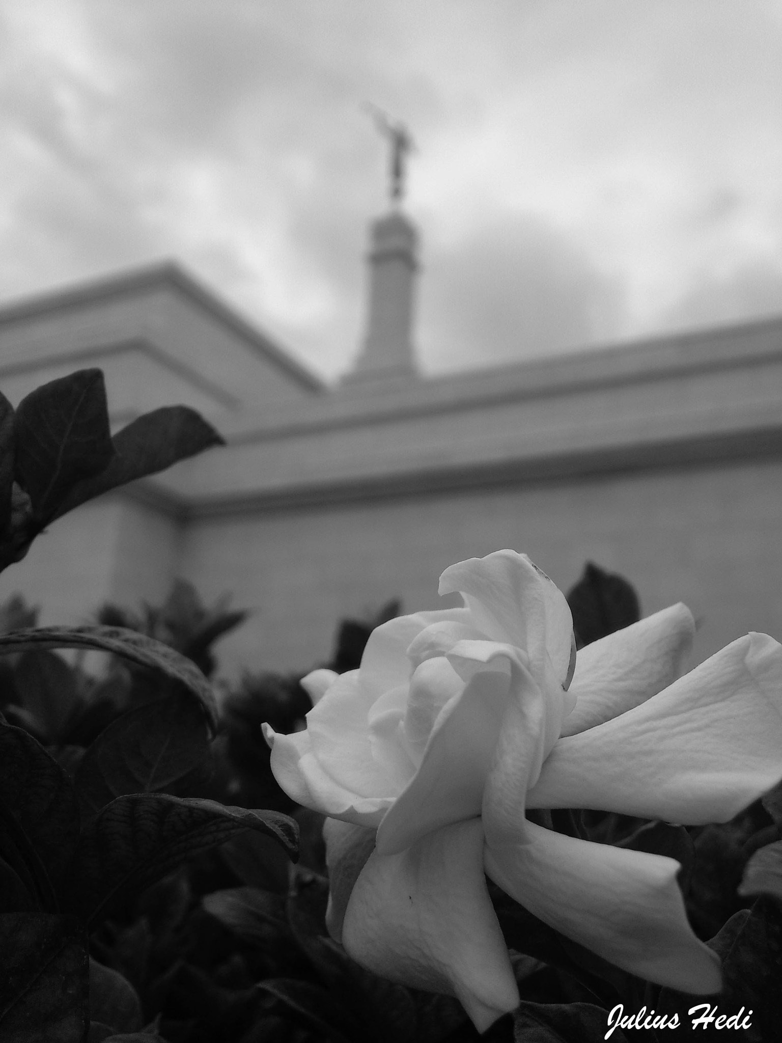 Sony Ericsson Xperia arc S sample photo. Flores del templo  photography
