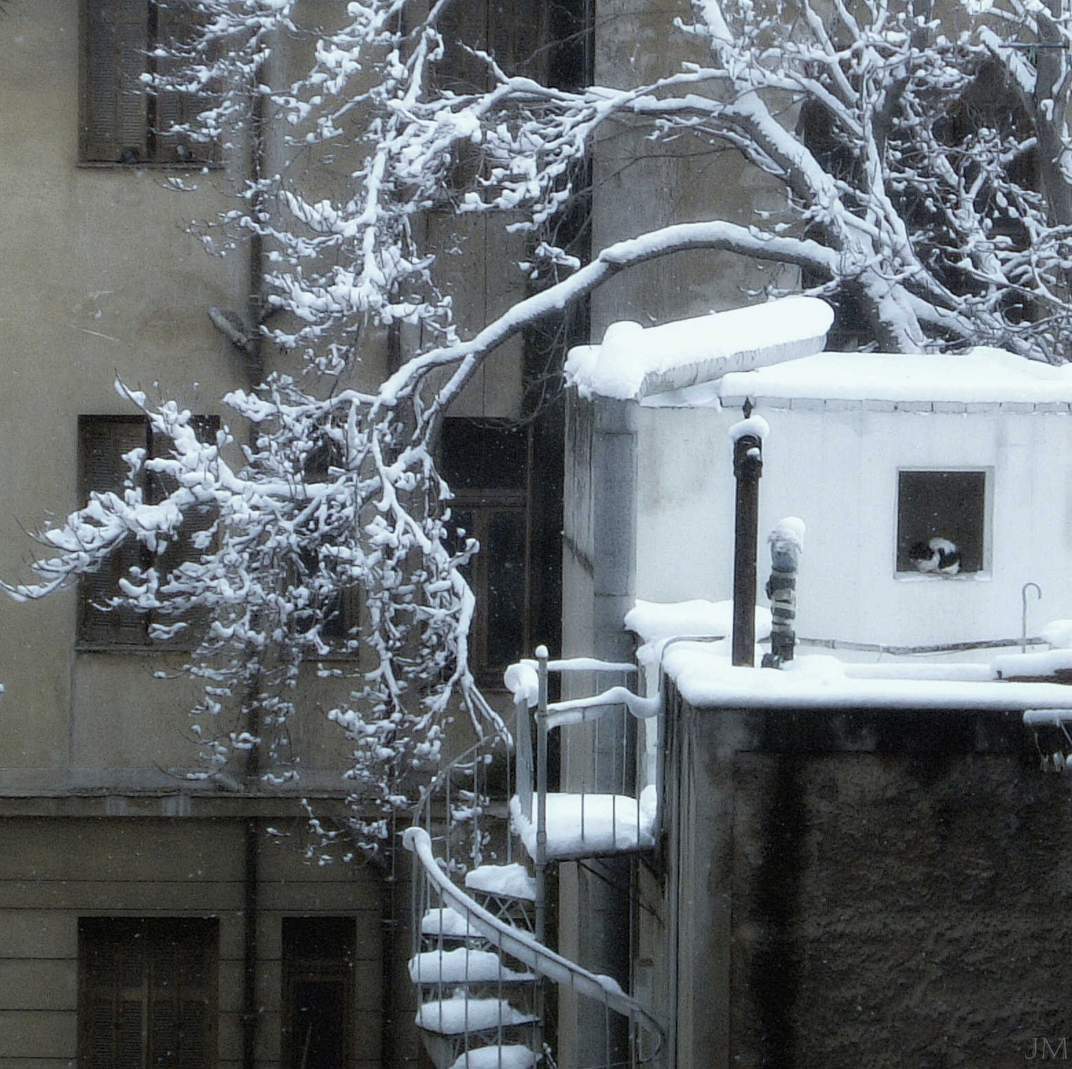 Fujifilm FinePix F410 sample photo. Snow in the city photography