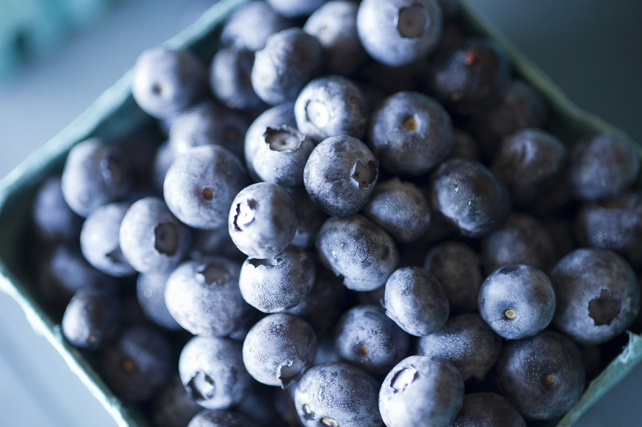Nikon D3S sample photo. Blueberries in pa photography