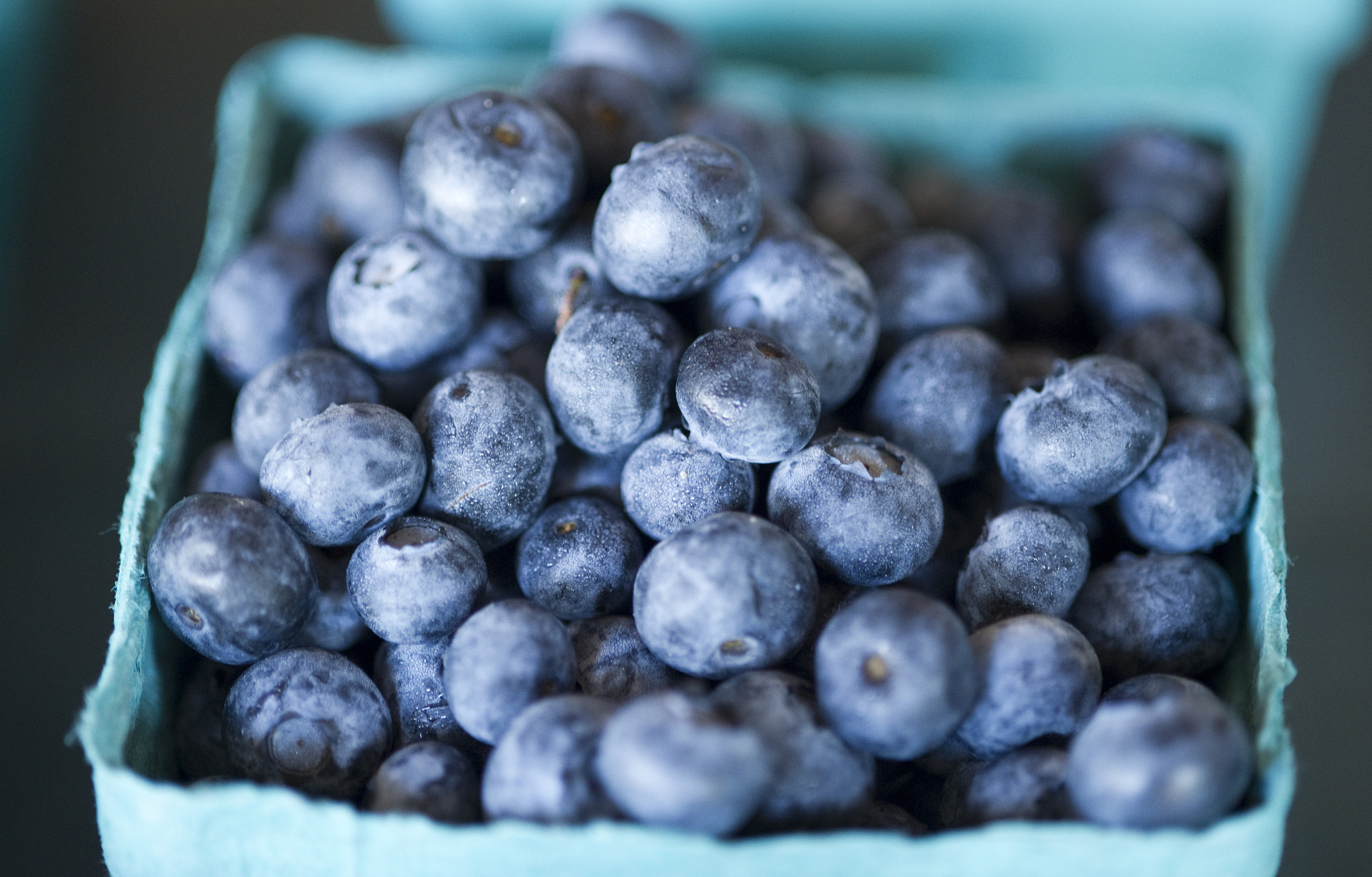 Nikon D3S + Nikon AF-S Micro-Nikkor 105mm F2.8G IF-ED VR sample photo. Blueberries in pa photography