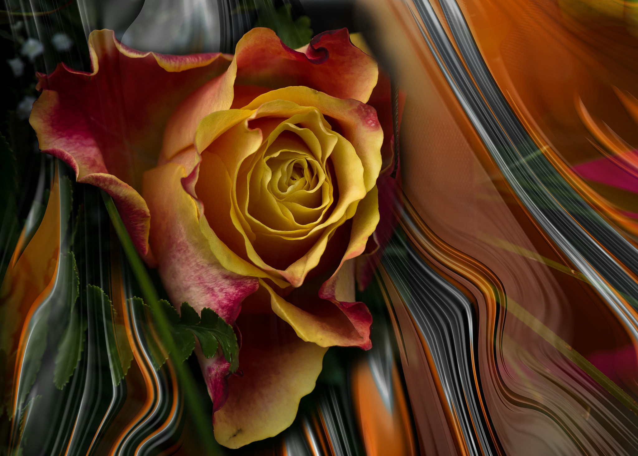 Nikon D4 sample photo. Playing with light photography