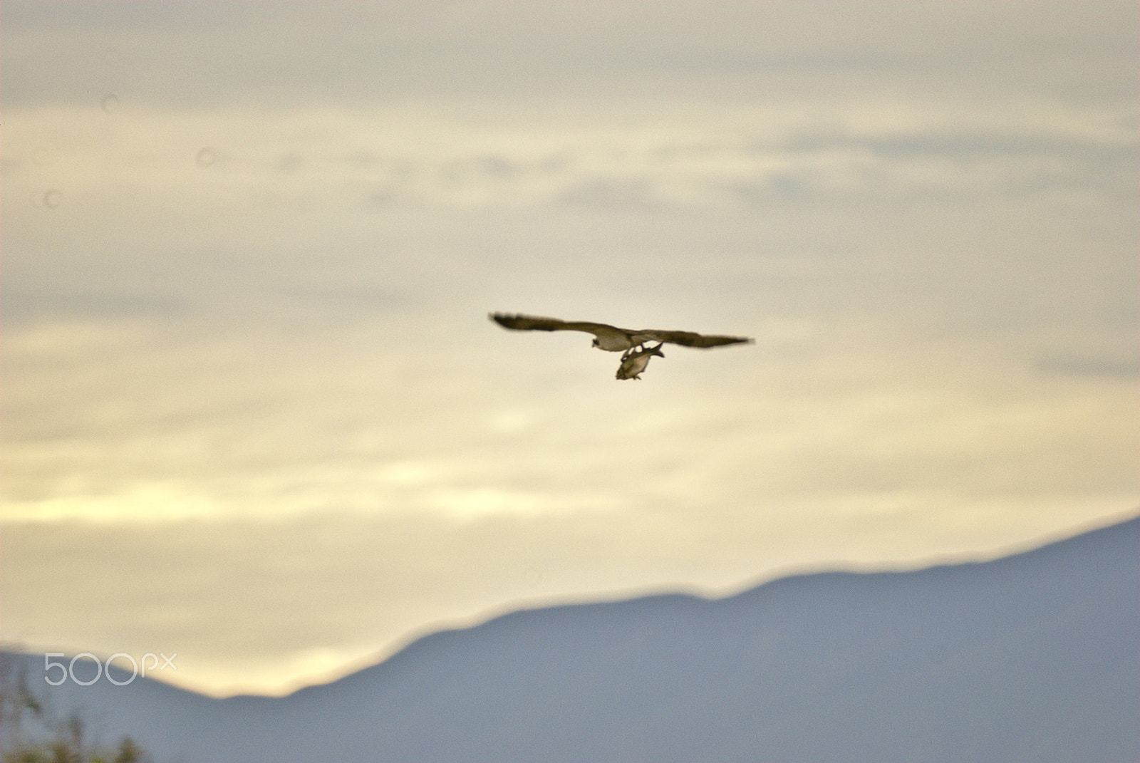 Nikon D80 sample photo. Coming back photography