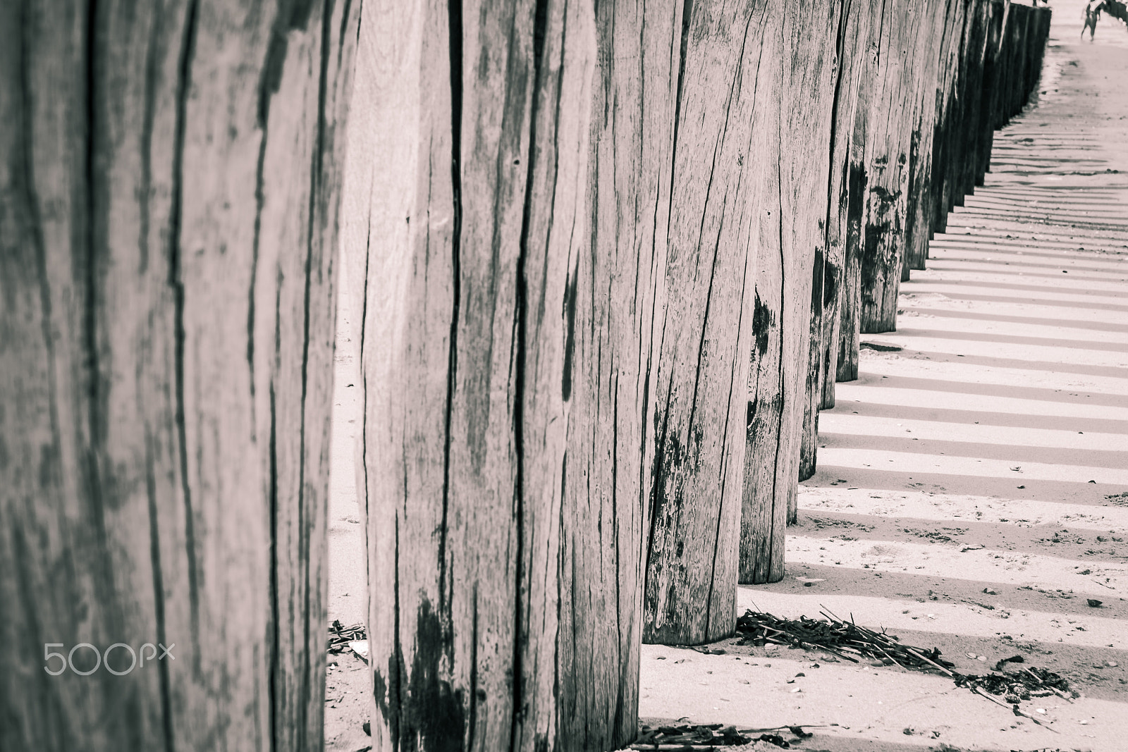 Sony Alpha DSLR-A900 sample photo. Wooden groynes on the beach in zeeland photography