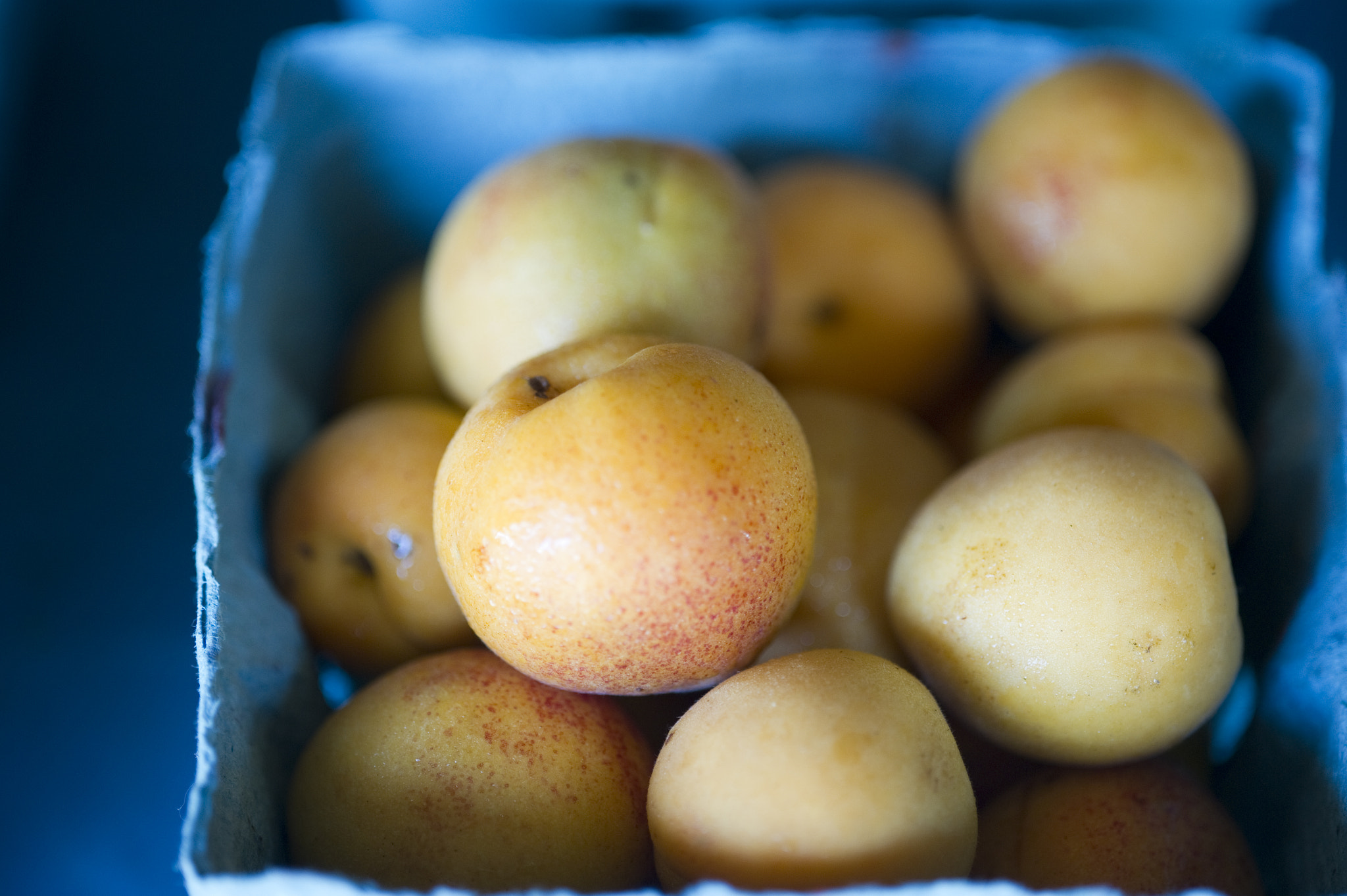 Nikon D3S sample photo. Apricots in pa photography