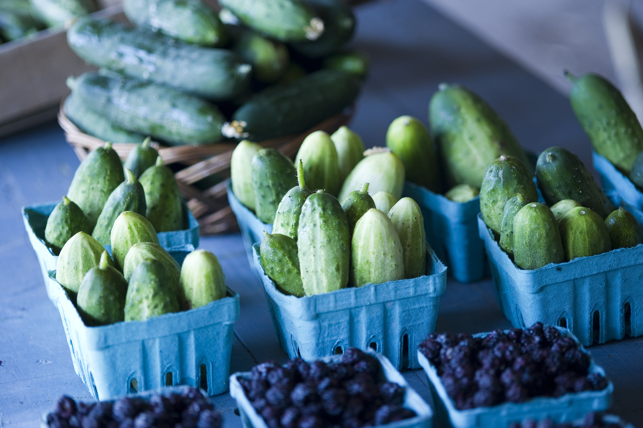Nikon D3S sample photo. Cucumbers in pa photography