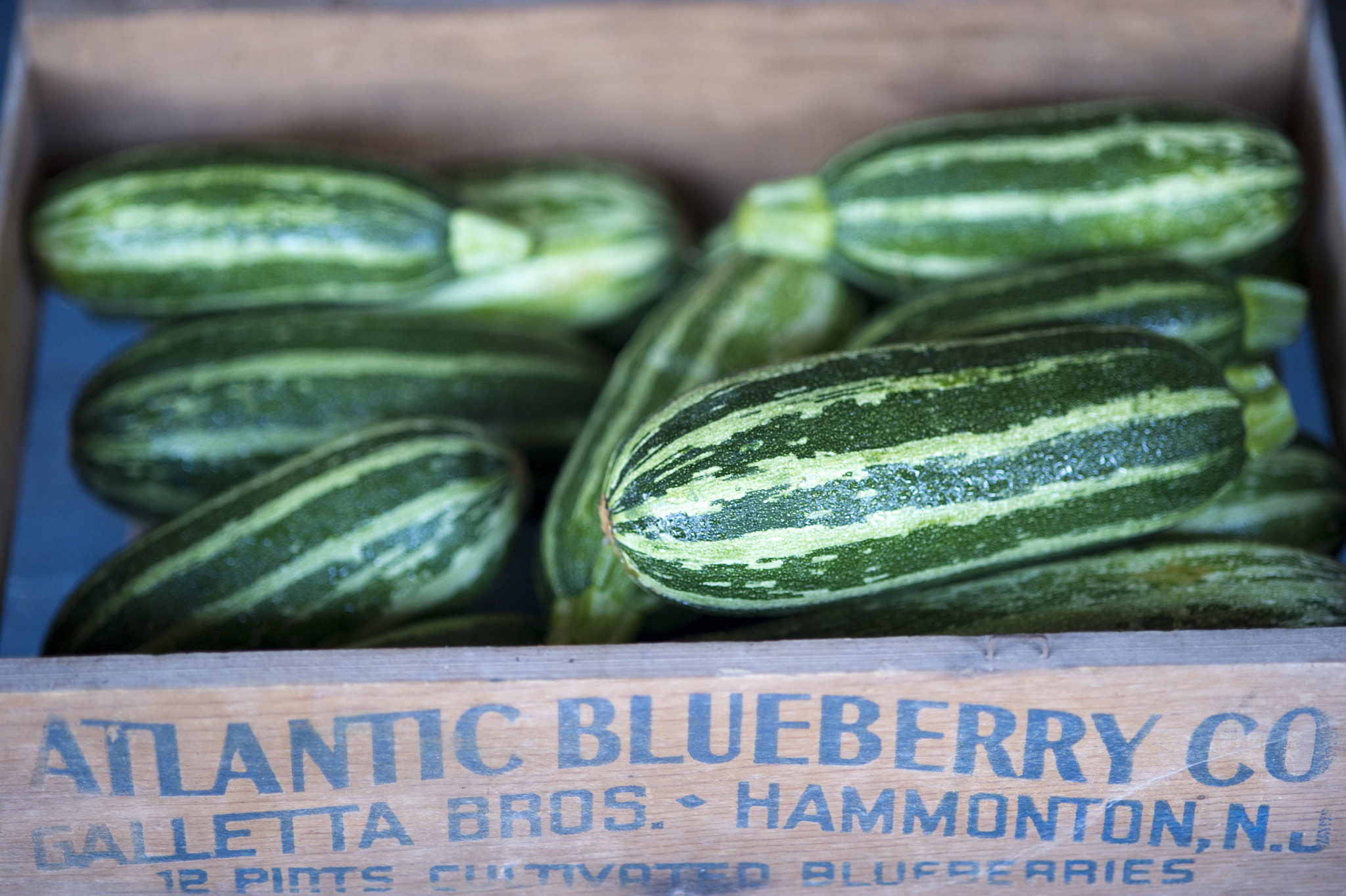 Nikon D3S sample photo. Cucumbers in pa photography