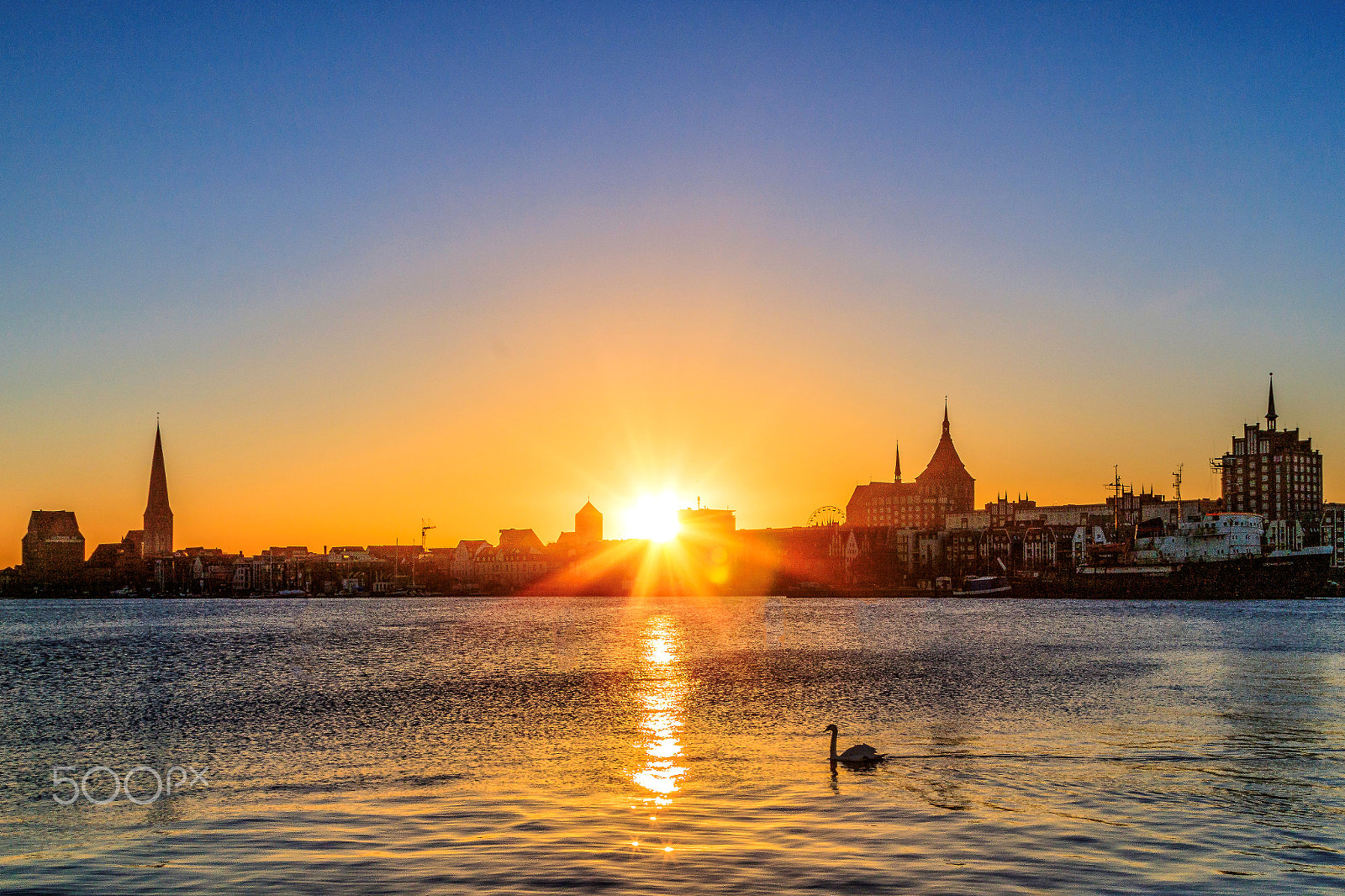 Canon EOS 750D (EOS Rebel T6i / EOS Kiss X8i) + Canon EF 24-105mm F4L IS USM sample photo. Schwan bei sonnenaufgang photography