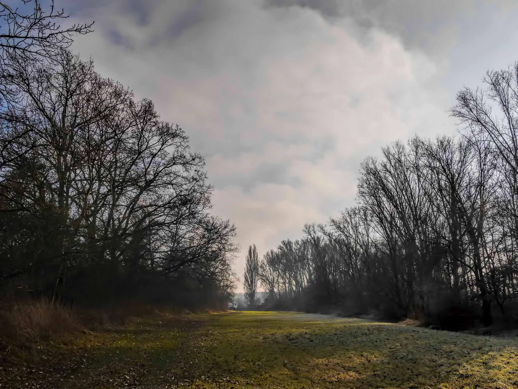 Panasonic Lumix DMC-GX7 sample photo. Bischofsheimer aue photography