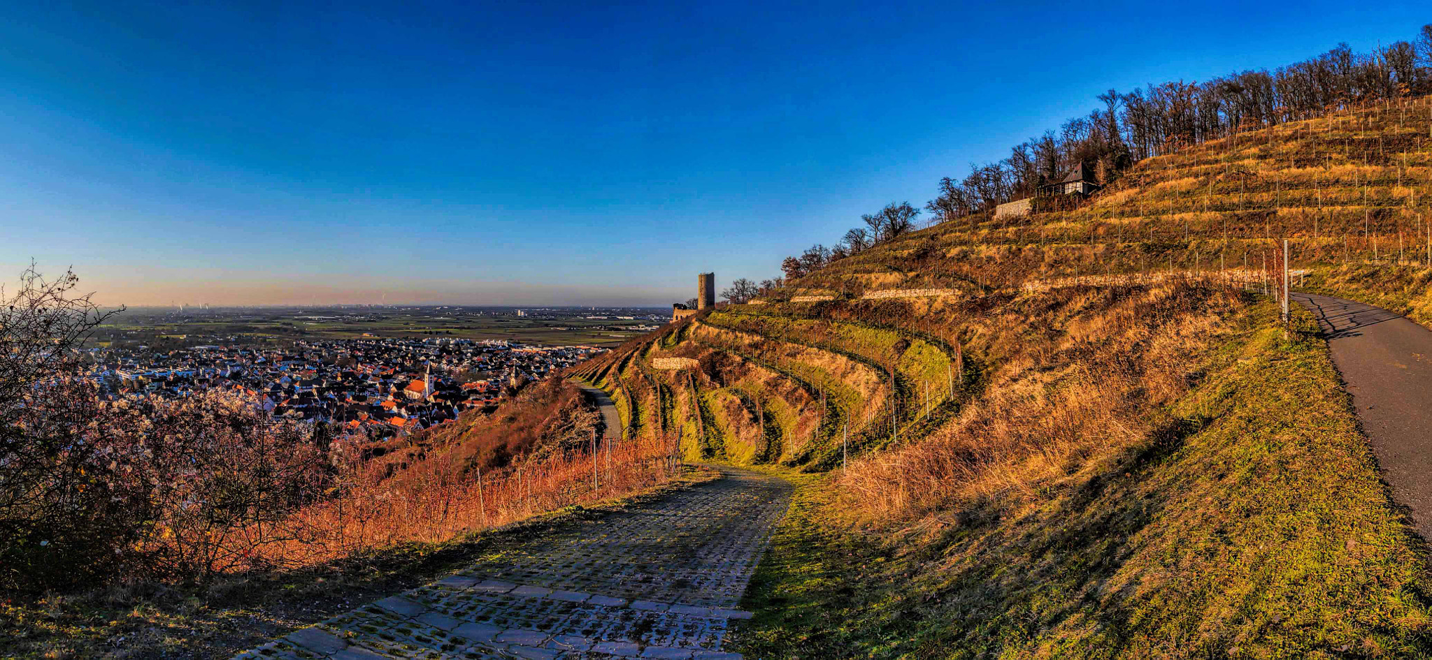 Panasonic Lumix DMC-GX7 sample photo. Strahlenburg schriesheim photography