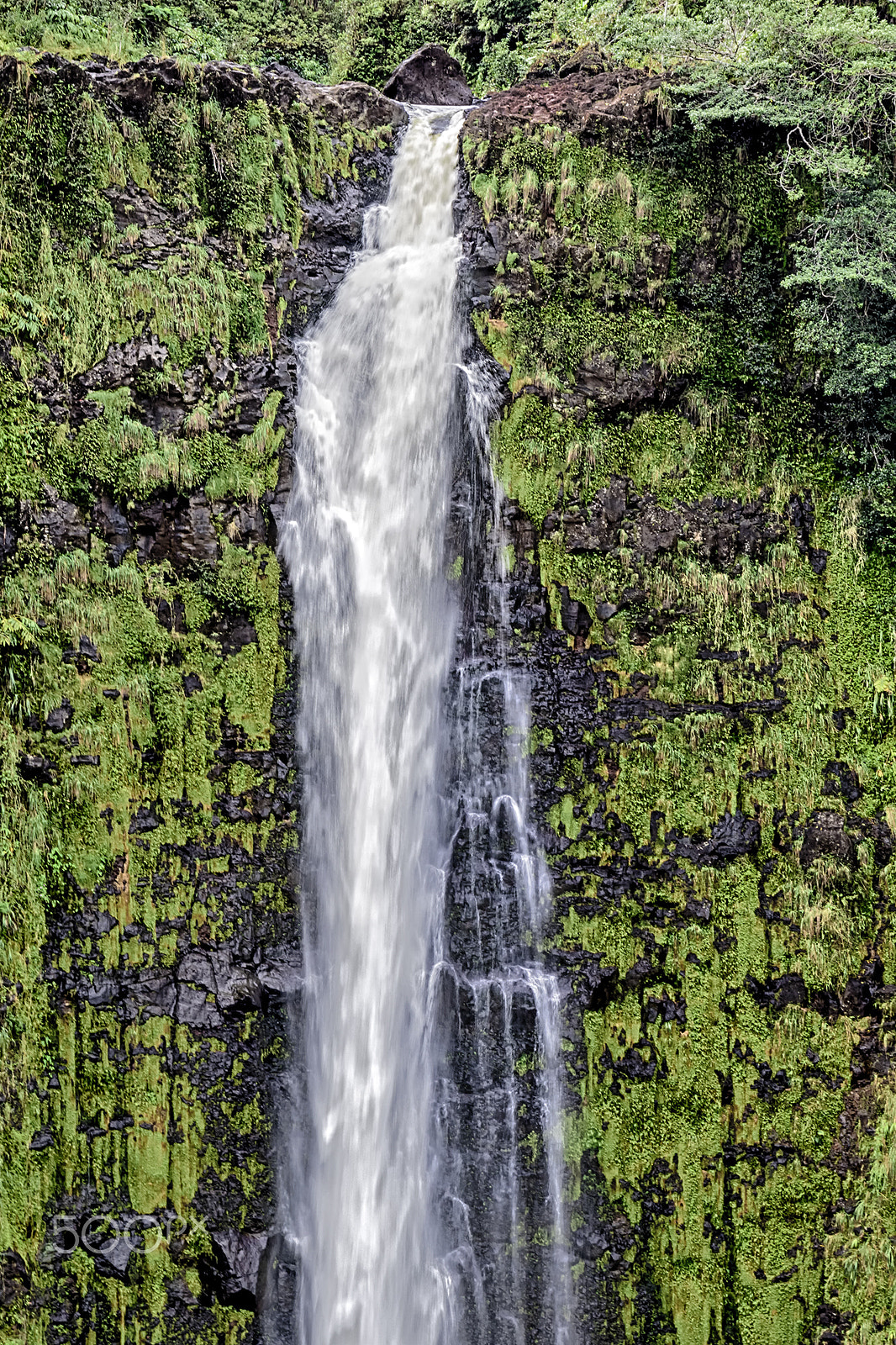 Sigma 18-250mm F3.5-6.3 DC OS HSM sample photo. Akaka falls photography