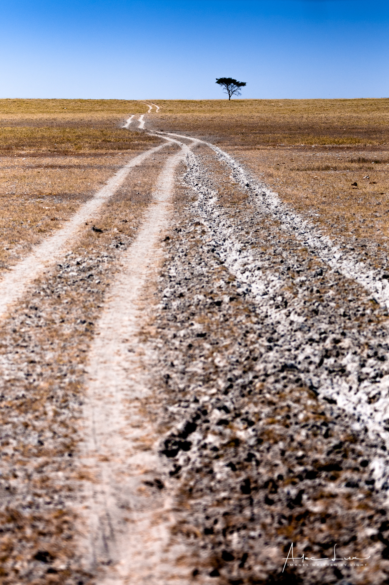 Nikon AF-S Nikkor 70-200mm F2.8G ED VR II sample photo. Makgadikgadi saltpan - driving to the edge photography