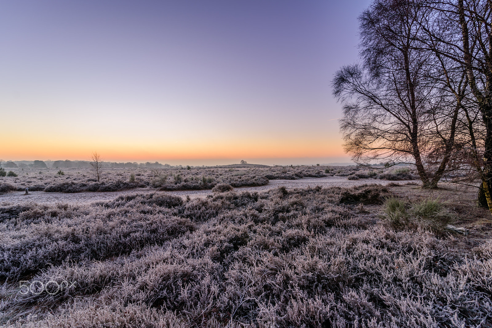 Tokina AT-X 16-28mm F2.8 Pro FX sample photo. Waiting for the sun to rise photography