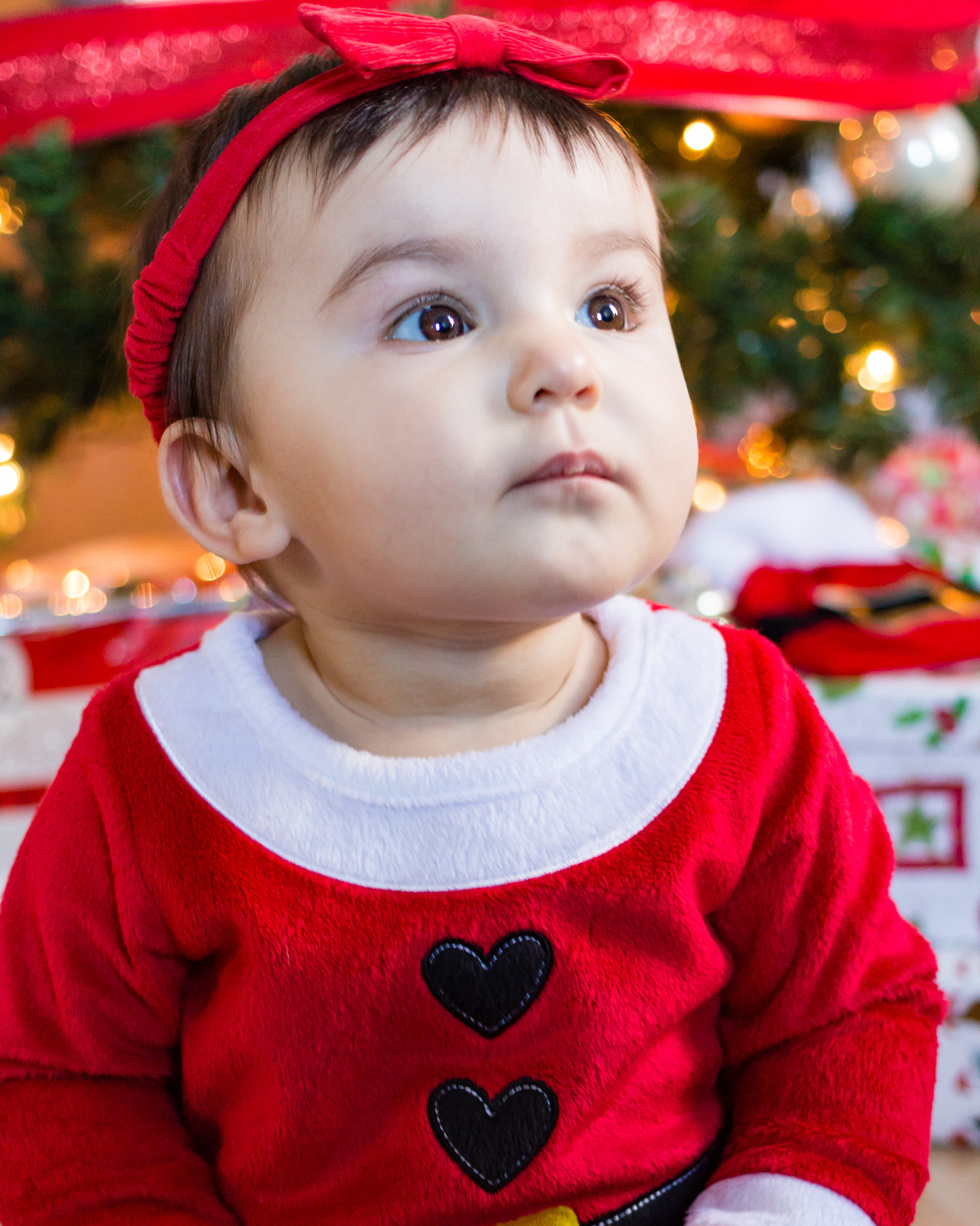Canon EF 40mm F2.8 STM sample photo. Untitled photography