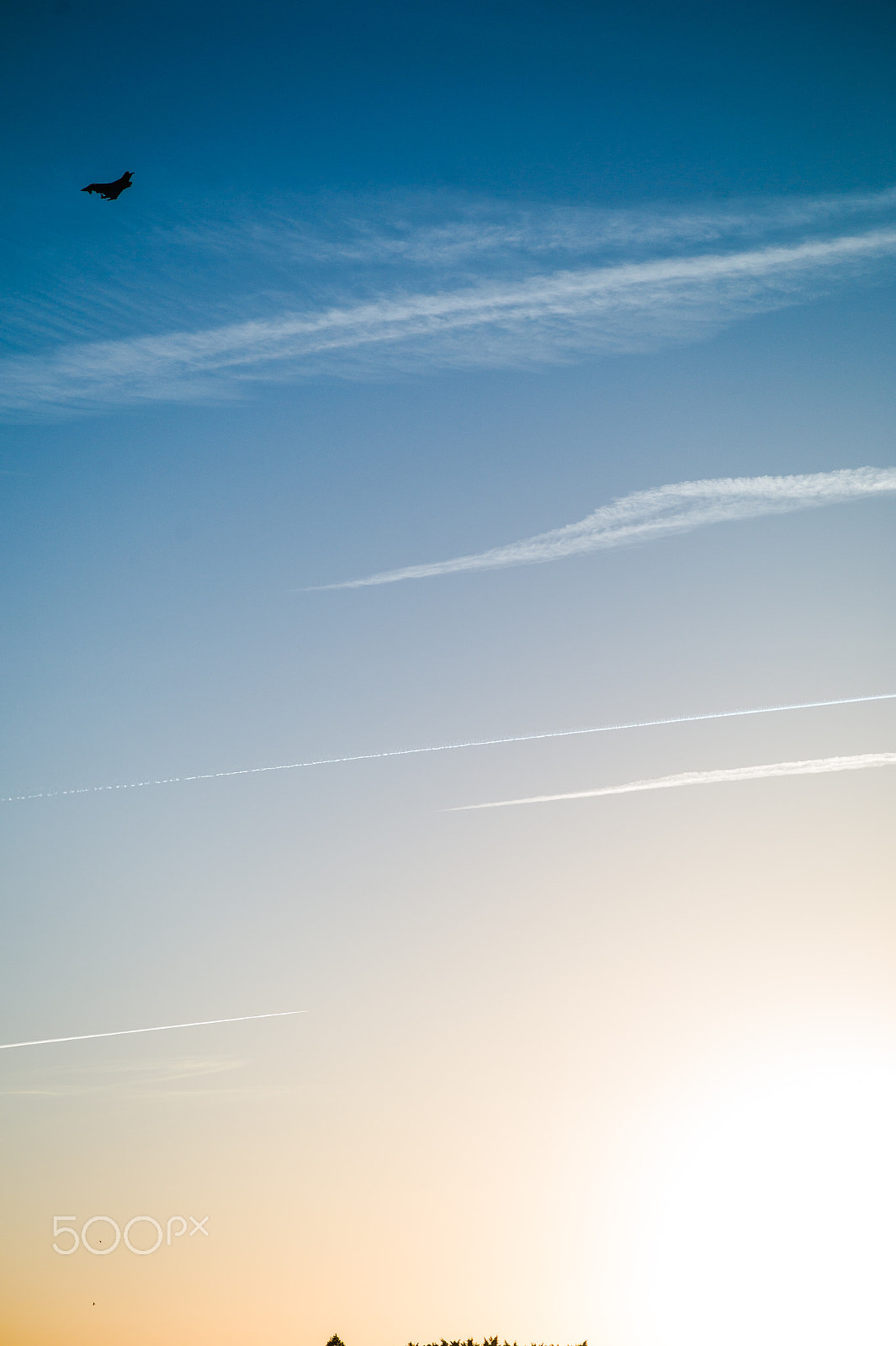 Leica M9 + Leica Summarit-M 75mm F2.5 sample photo. Some color to our eyes 04 photography