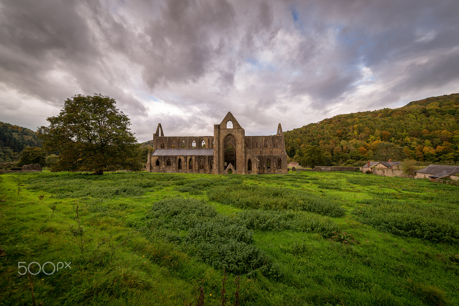 Sigma 12-24mm F4.5-5.6 II DG HSM sample photo. Tintern abbey photography