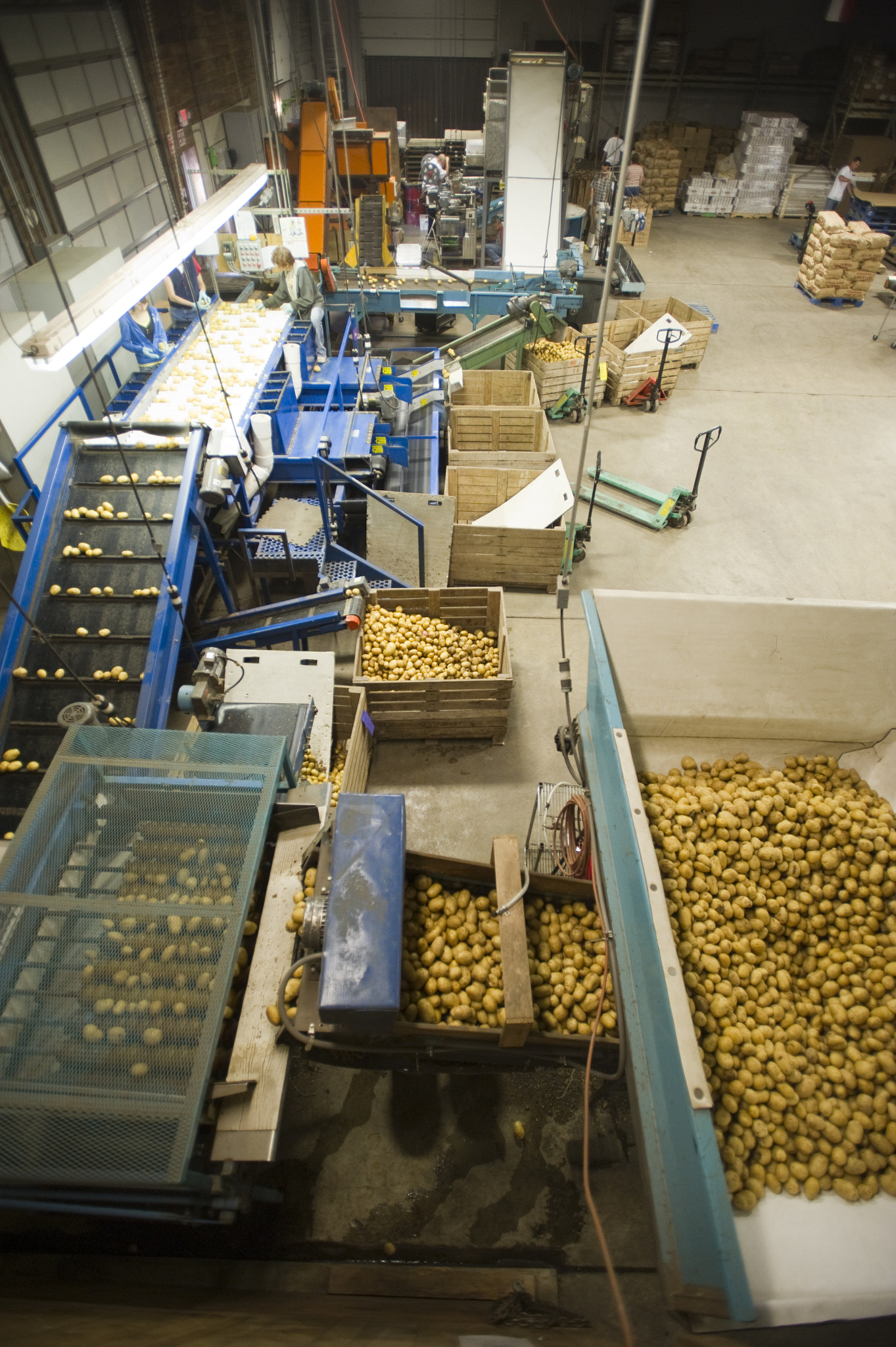 Nikon AF-S Nikkor 17-35mm F2.8D ED-IF sample photo. Potatoes in boxes photography
