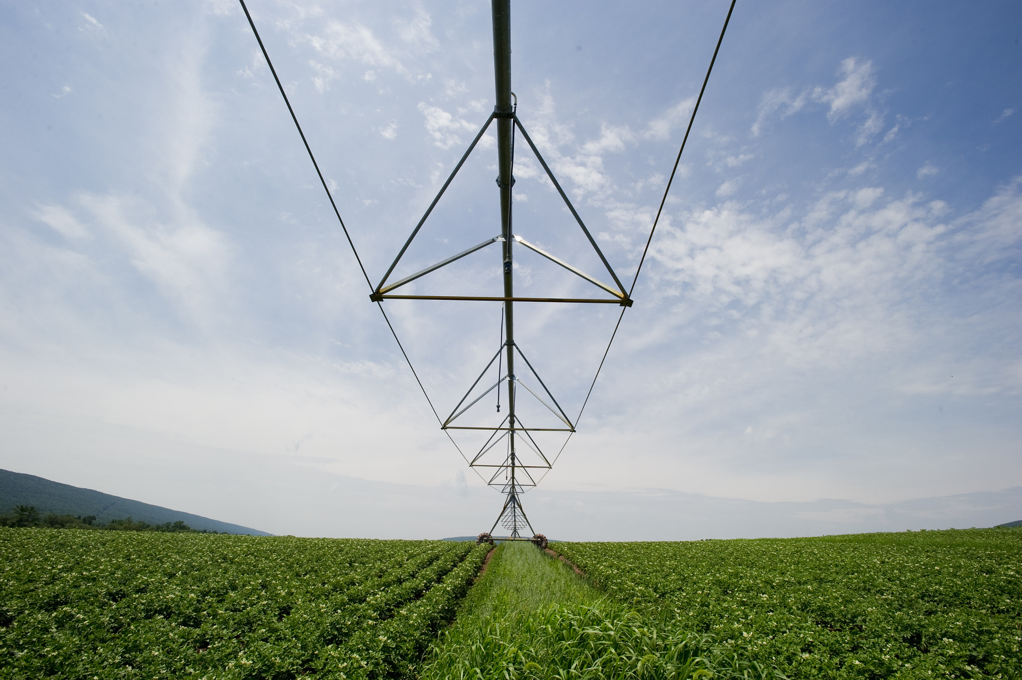 Nikon AF-S Nikkor 17-35mm F2.8D ED-IF sample photo. Field of potatoes with pivot irrigation system photography