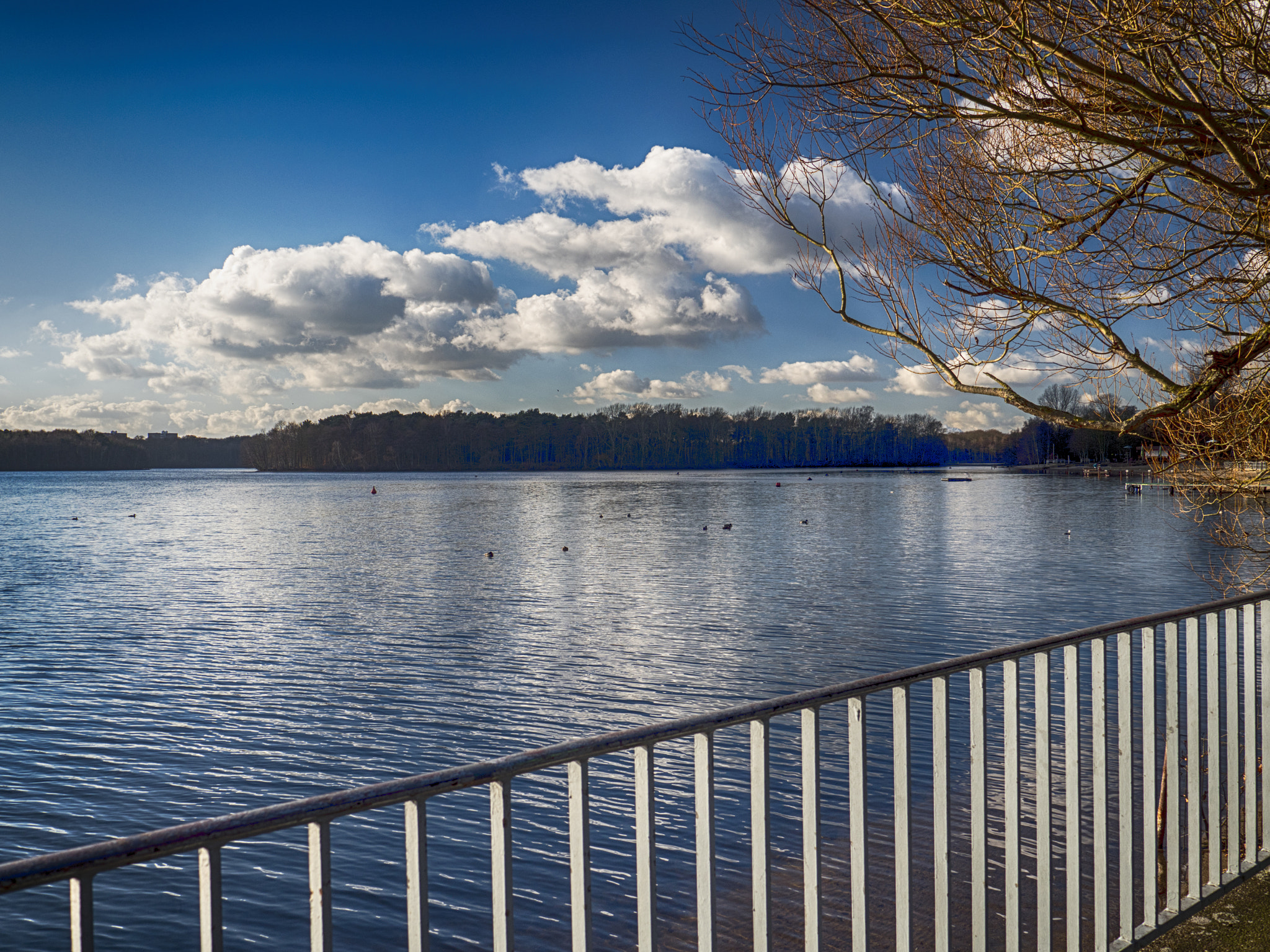 Panasonic Lumix DMC-GX8 sample photo. Am see photography