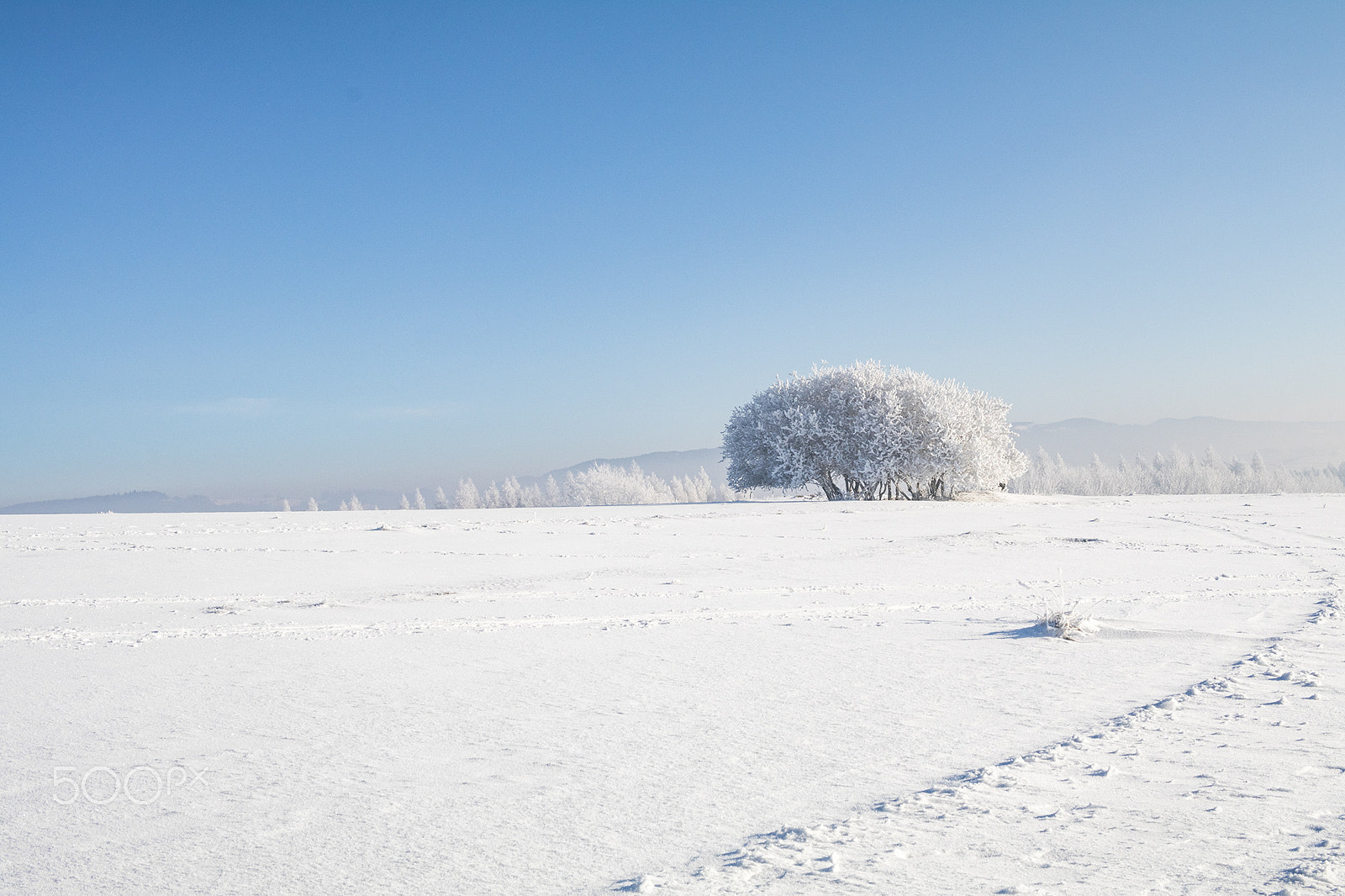 Canon EF-S 24mm F2.8 STM sample photo. The whiter shade of pale photography