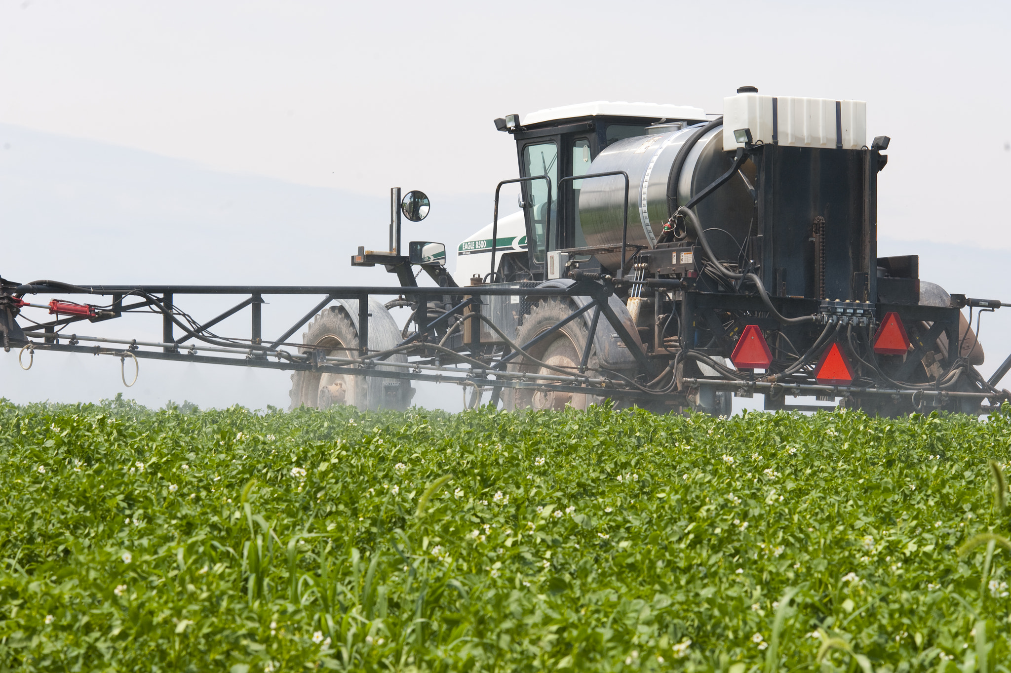 Nikon D700 sample photo. Field of potatoes being sprayed photography