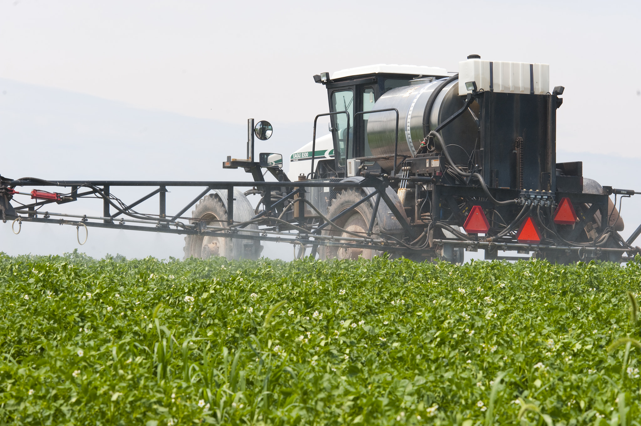 Nikon D700 + AF DC-Nikkor 135mm f/2 sample photo. Field of potatoes being sprayed photography