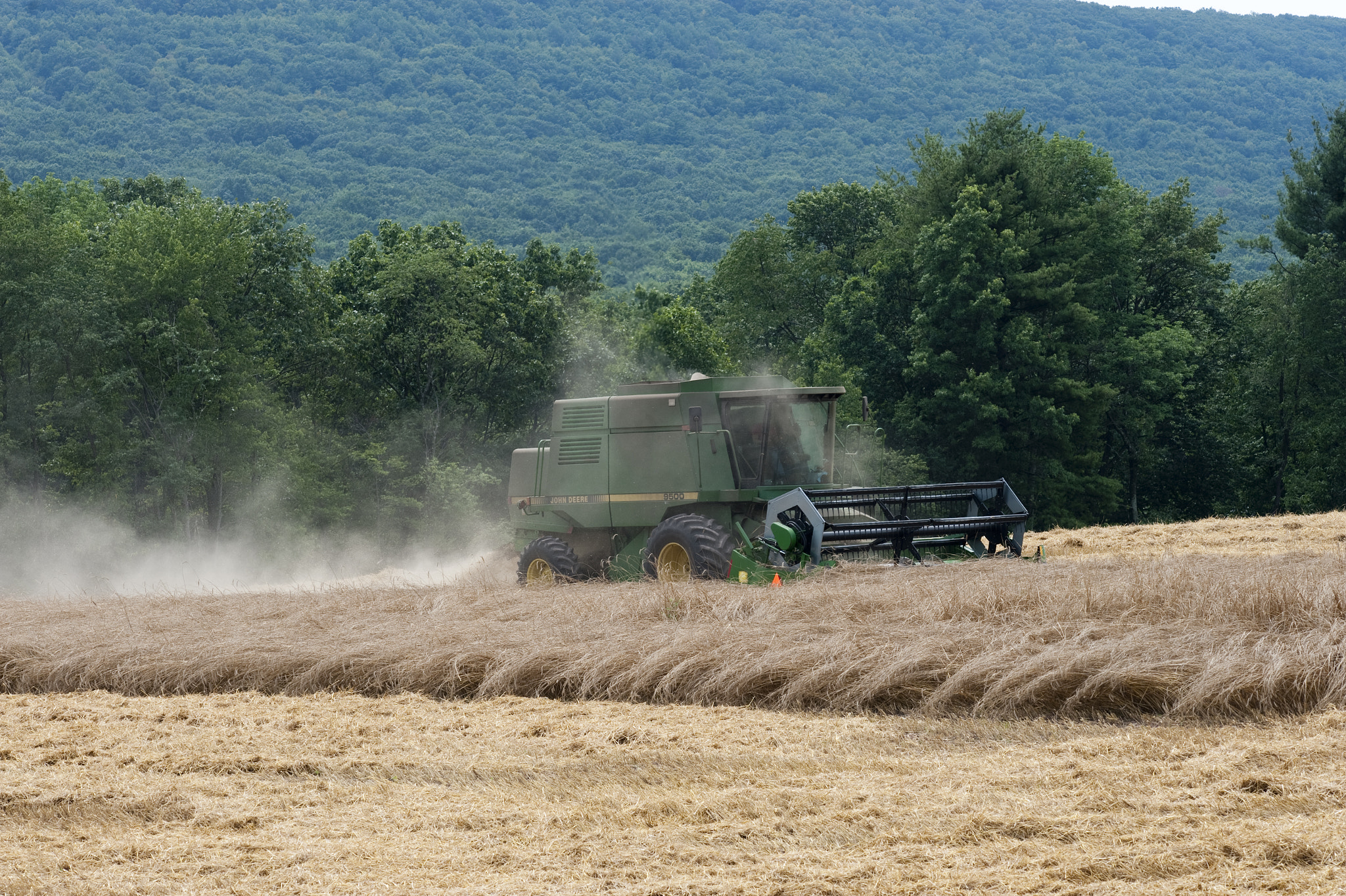 Nikon D700 sample photo. Wheat being harvested photography