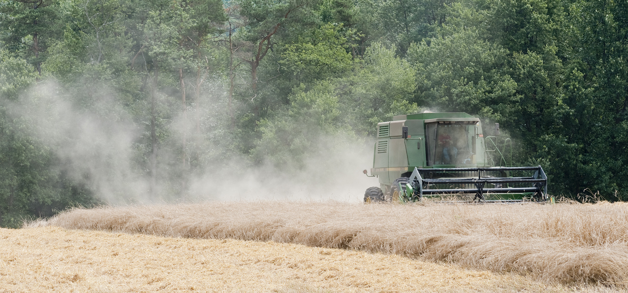 AF DC-Nikkor 135mm f/2 sample photo. Wheat being harvested photography