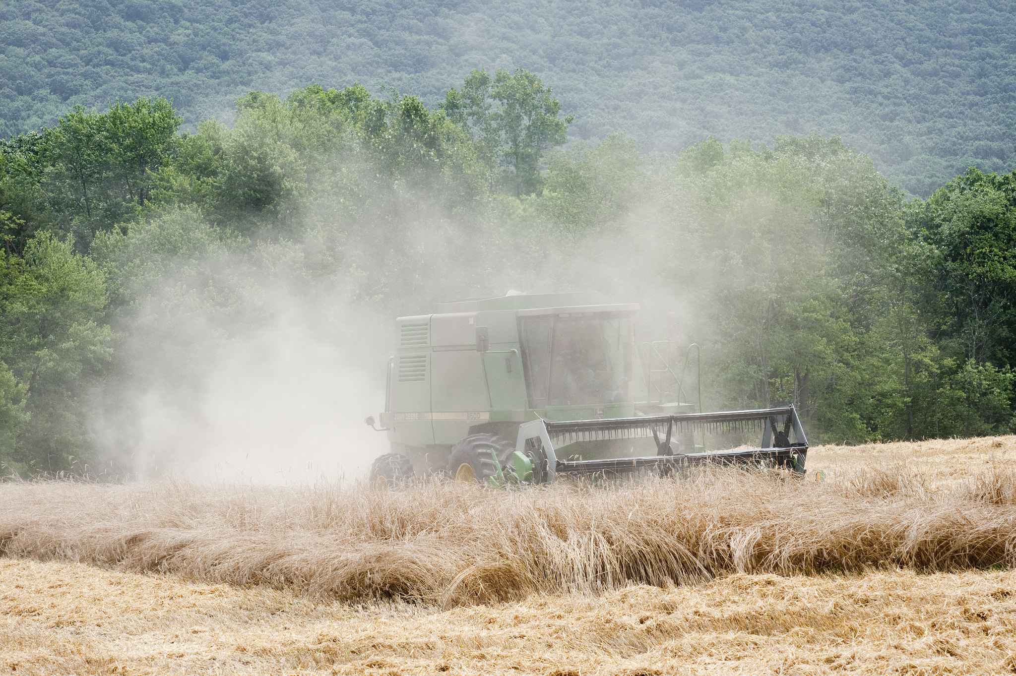 Nikon D700 + AF DC-Nikkor 135mm f/2 sample photo. Wheat being harvested photography