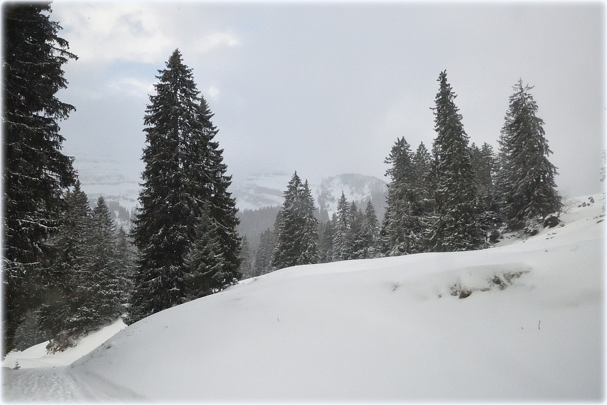 Nikon D810 sample photo. "late winter" photography