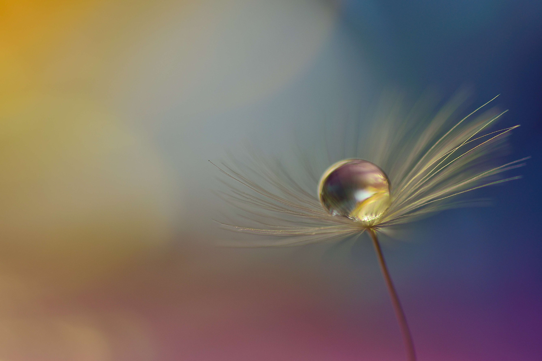 Sigma 105mm F2.8 EX DG OS HSM sample photo. Brushstrokes of light photography