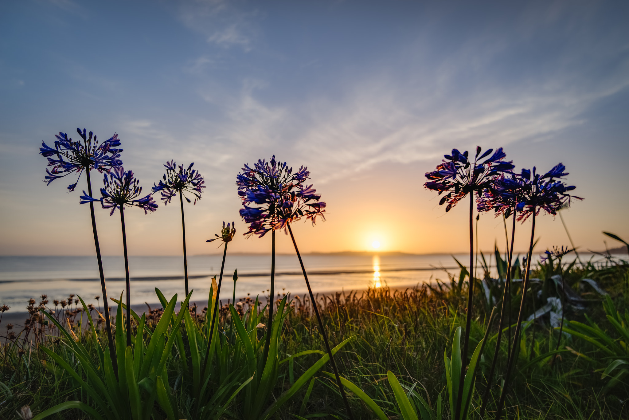 Sony a7R + Sony FE 24-70mm F2.8 GM sample photo. Sunrise orewa photography