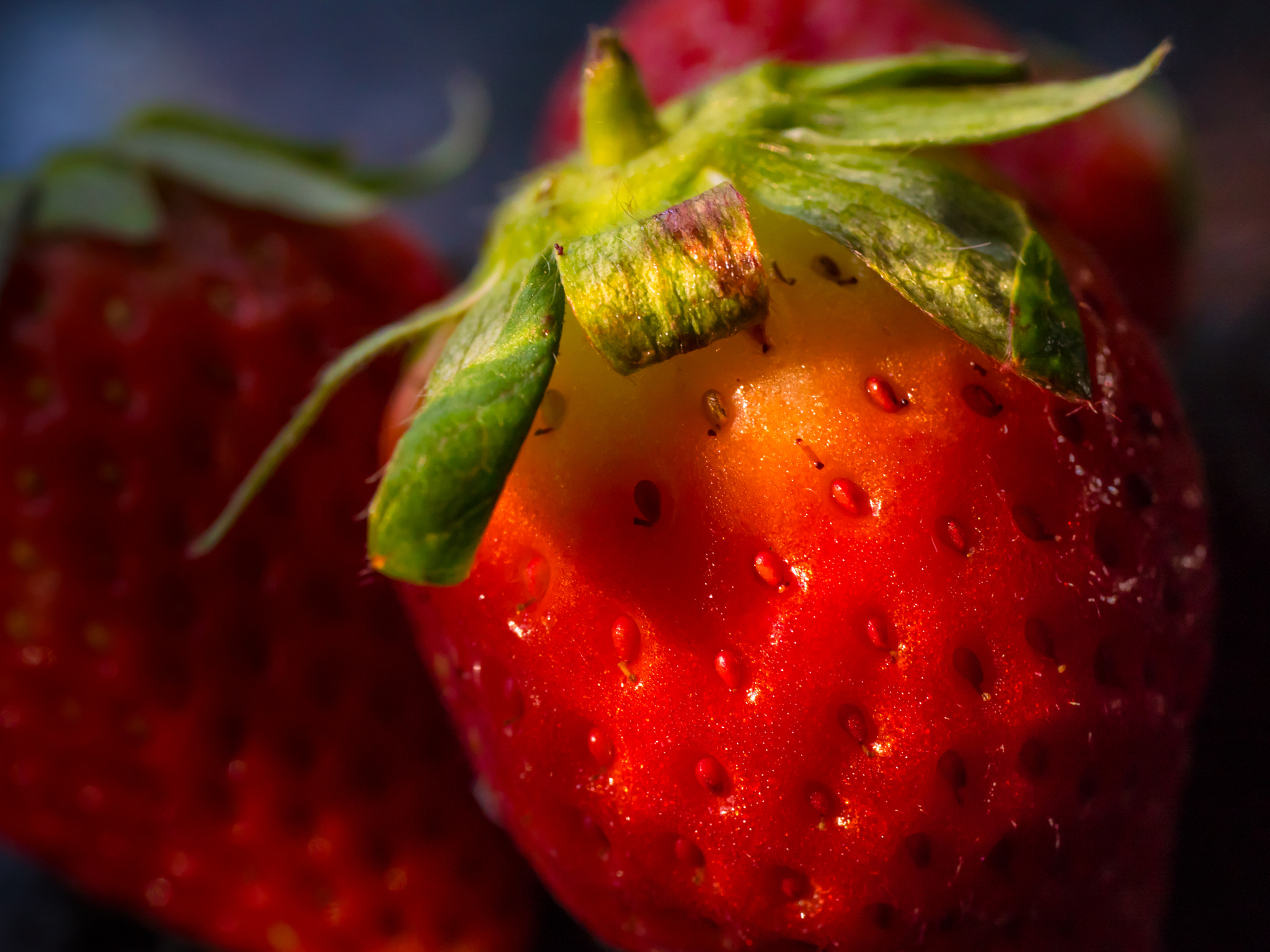 Panasonic Lumix DMC-GX8 + Panasonic Lumix G Macro 30mm F2.8 ASPH Mega OIS sample photo. Strawberry macro photography