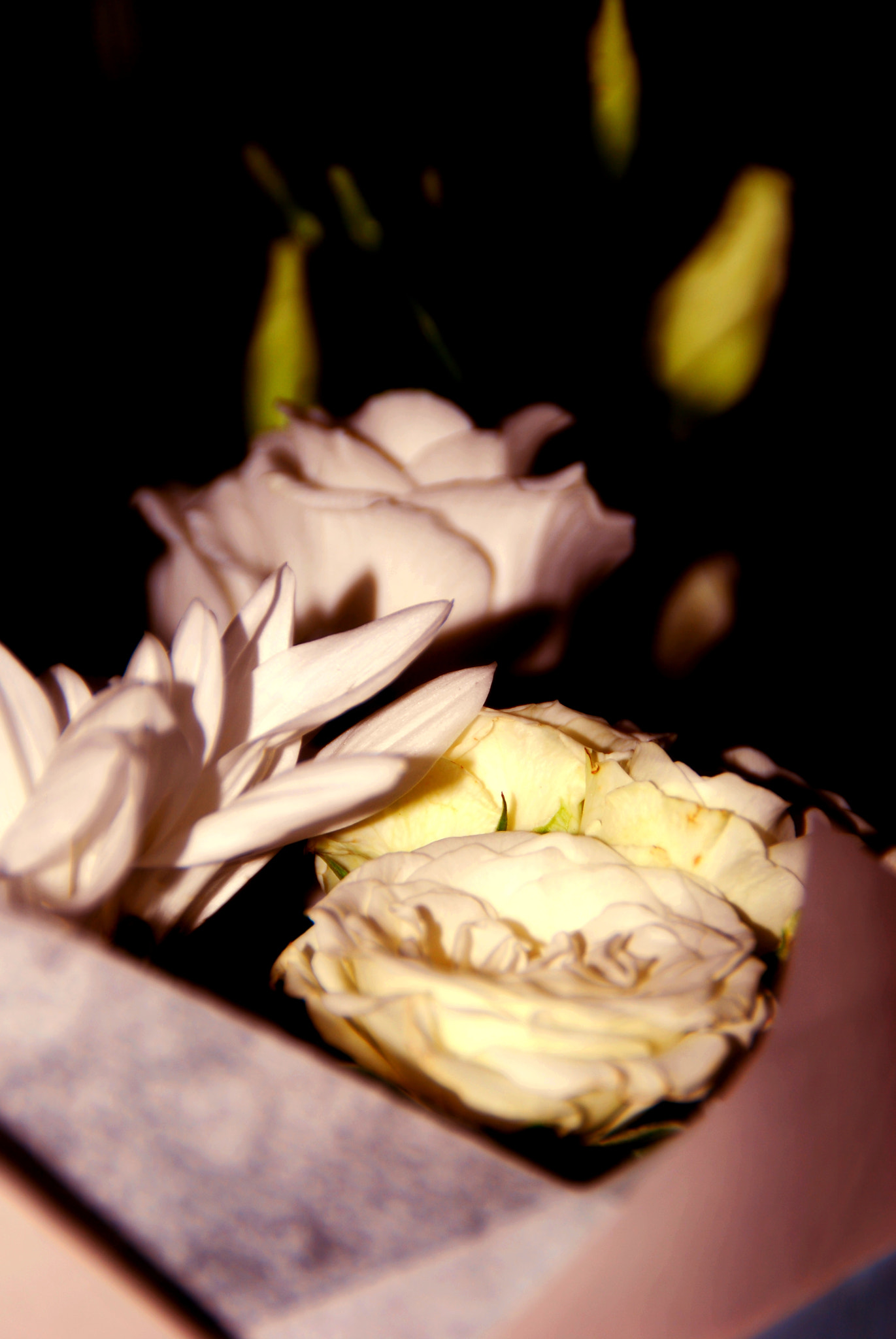 Nikon D60 sample photo