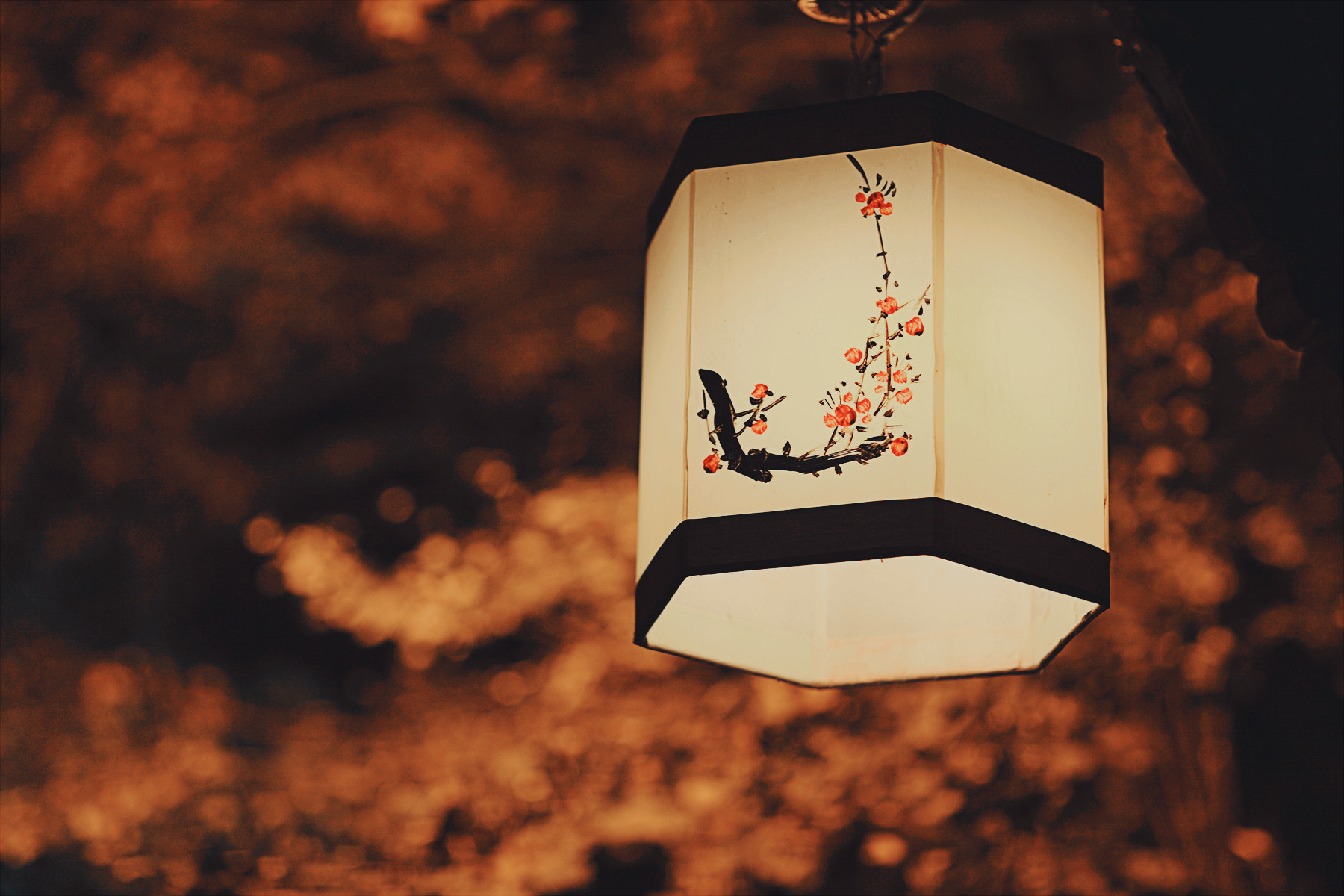 Canon EF 85mm F1.2 sample photo. Lantern photography