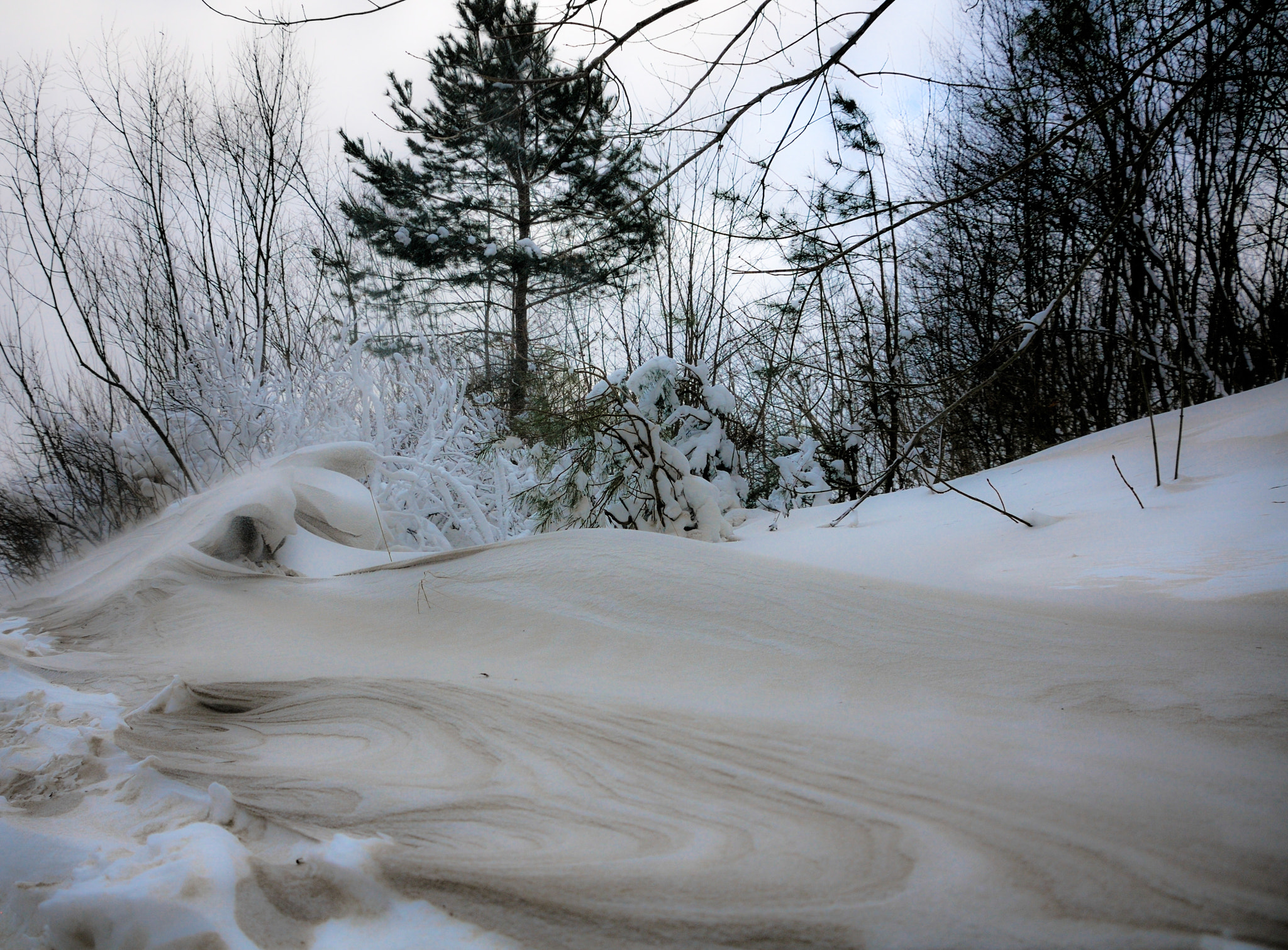 Nikon D300 sample photo. Wind. sand. snow. photography