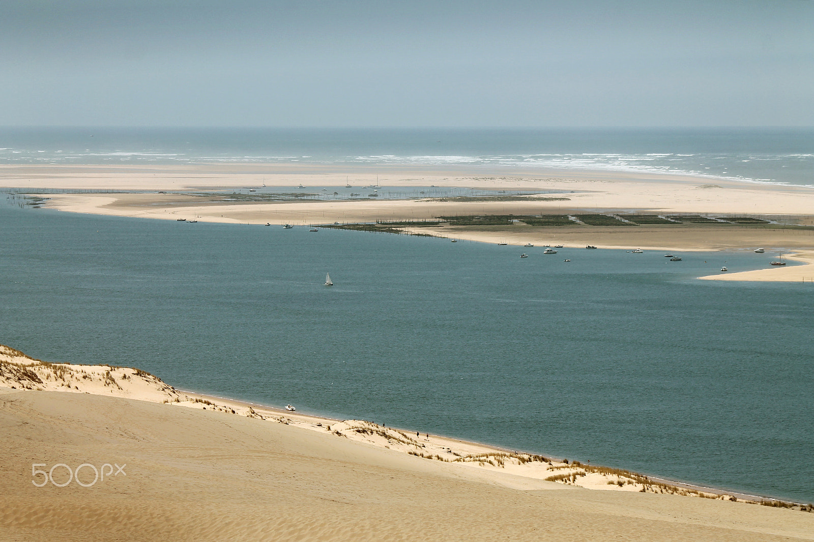 Canon EF-S 55-250mm F4-5.6 IS sample photo. Banc d'arguin photography