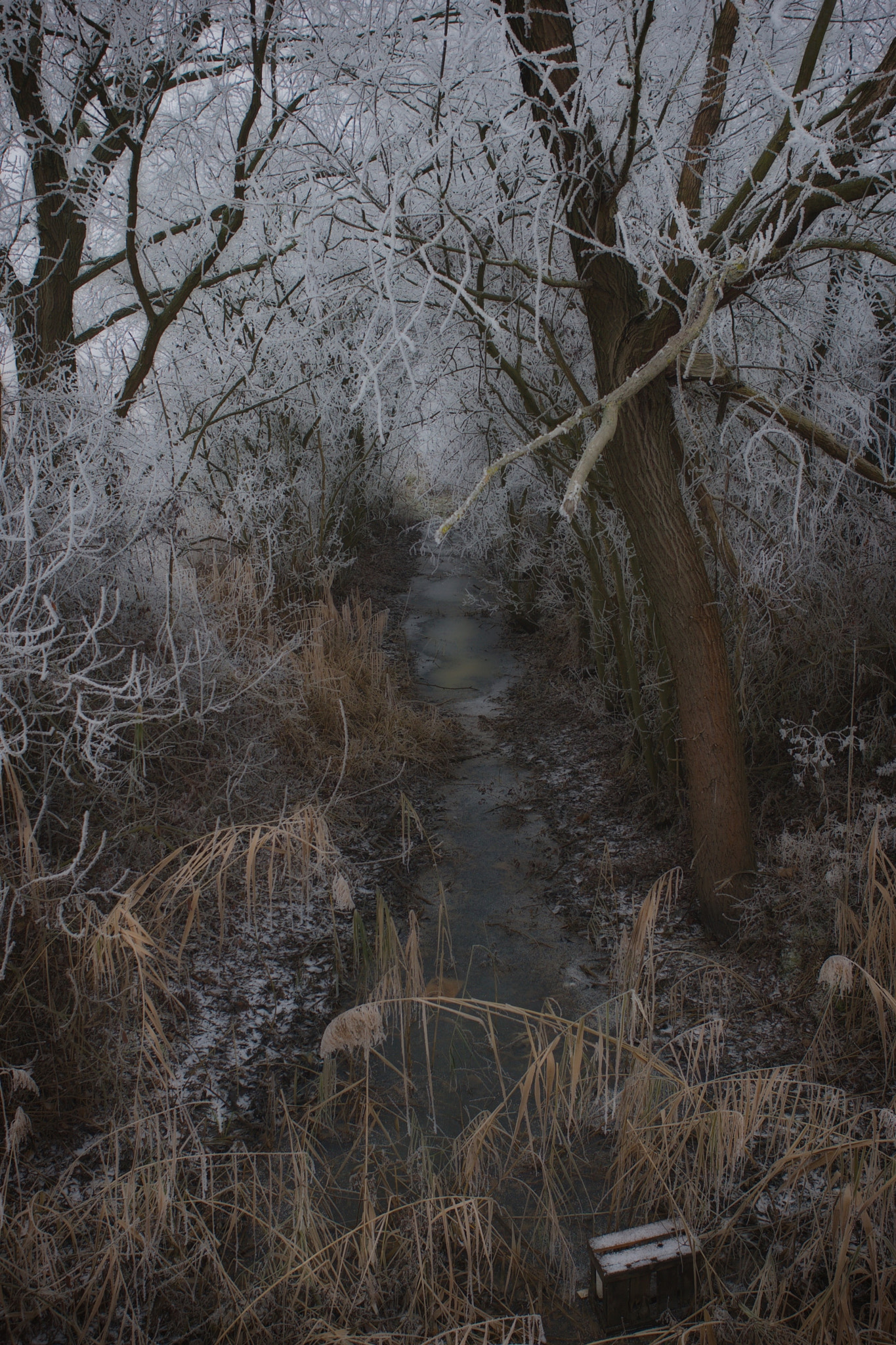 Canon EOS-1D Mark III sample photo. It's time photography
