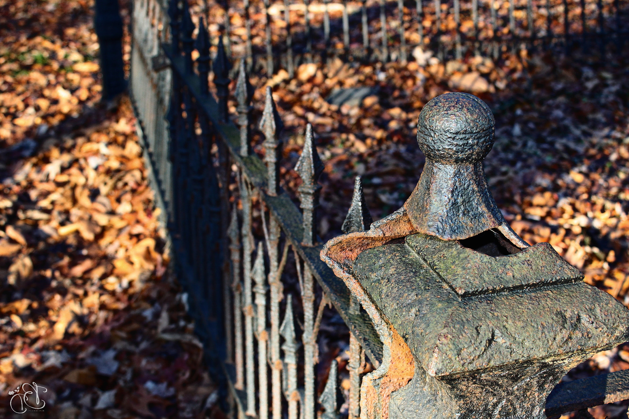 Canon EOS 500D (EOS Rebel T1i / EOS Kiss X3) sample photo. Cemetery photography