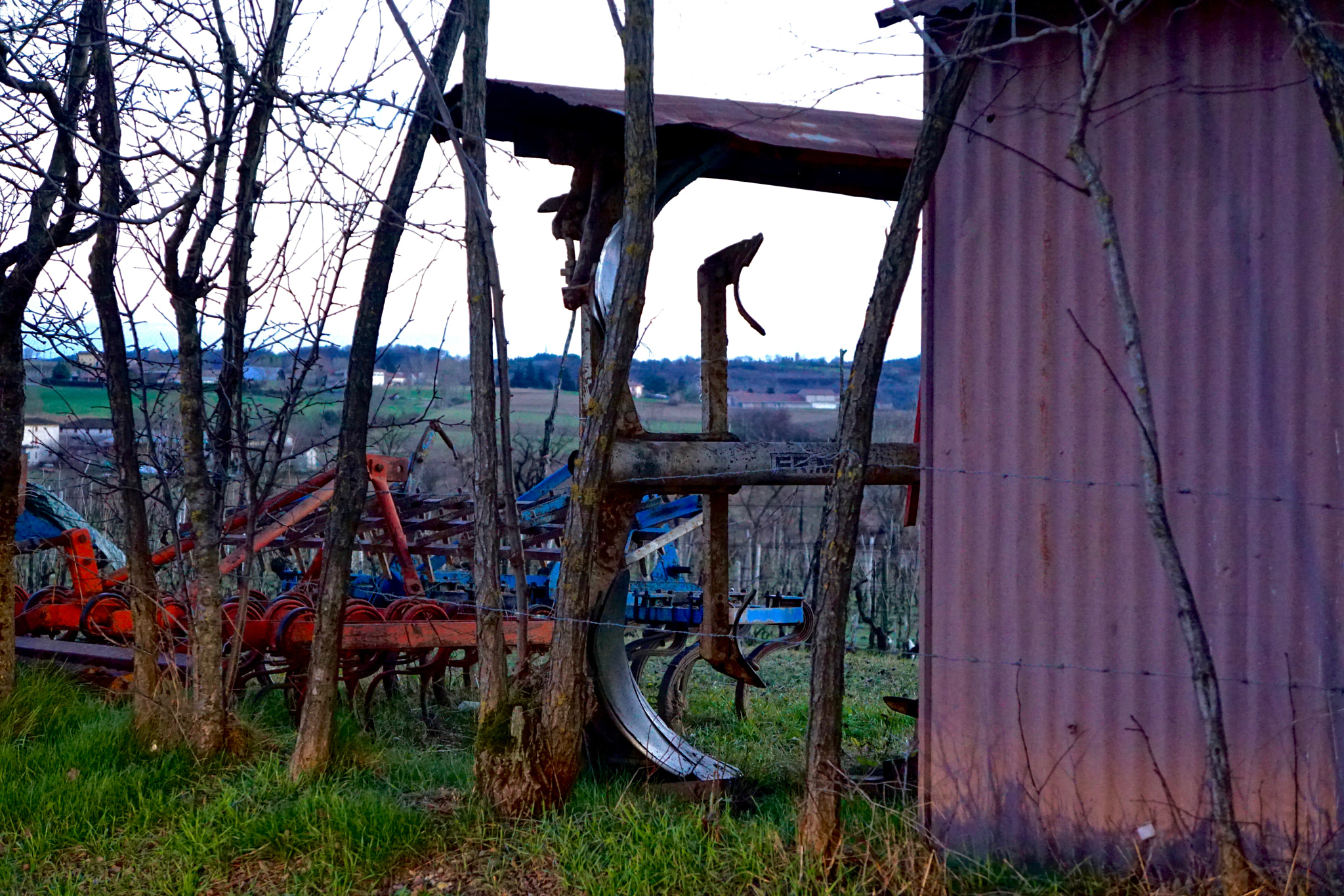 Tamron 18-200mm F3.5-6.3 Di III VC sample photo. Agriculture photography