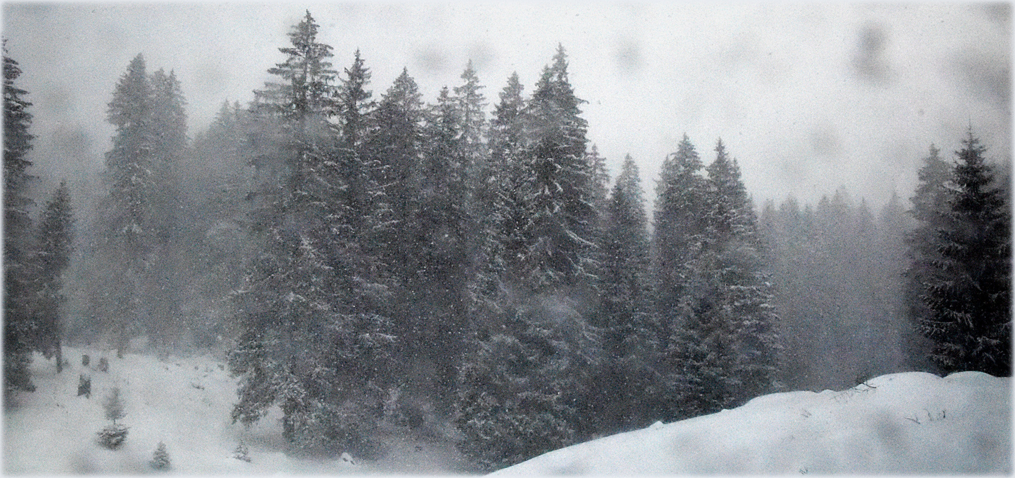 Nikon D810 sample photo. "snow fall" photography