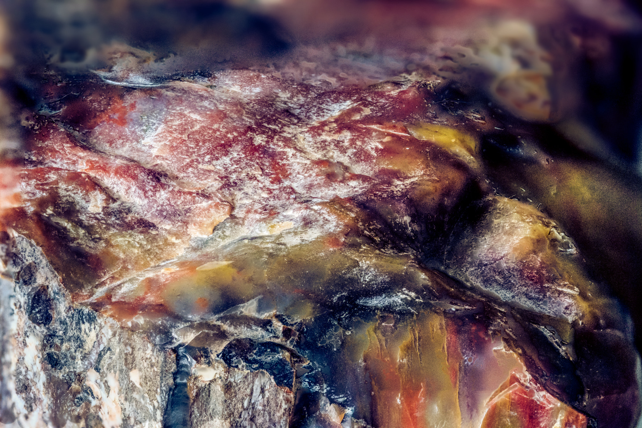 Fujifilm X-Pro2 + Fujifilm XF 60mm F2.4 R Macro sample photo. Petrified wood 1 photography